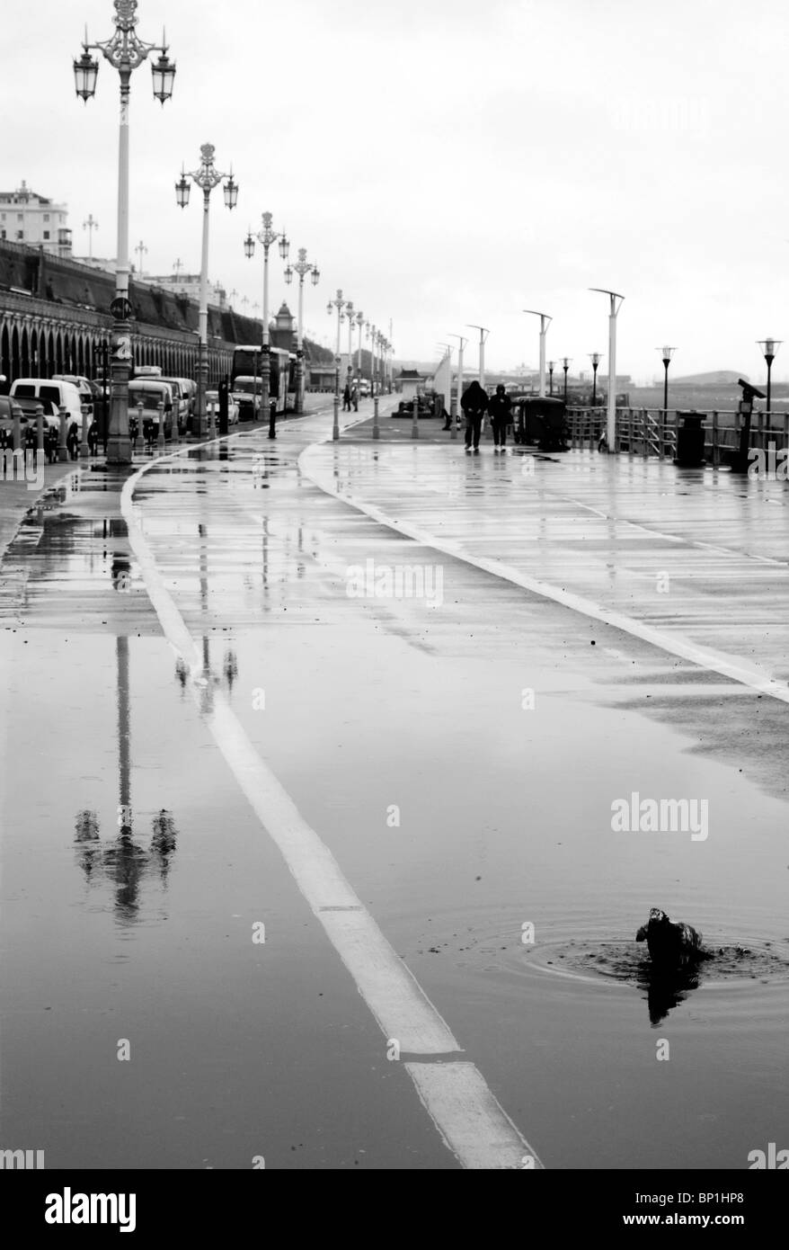 La pluie, de réflexions et de flaques à Brighton Banque D'Images