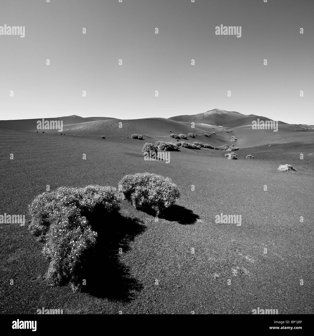 Paysage des îles Canaries Lanzarote Timanfaya NP Banque D'Images