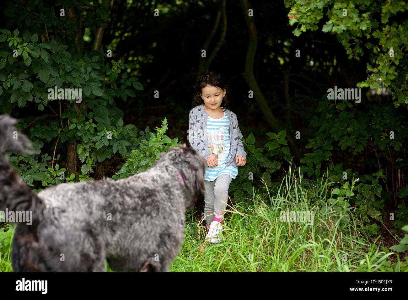 La moitié Thai - French girl à pied de sous les arbres pour satisfaire un Labradoodle chien noir et blanc Banque D'Images