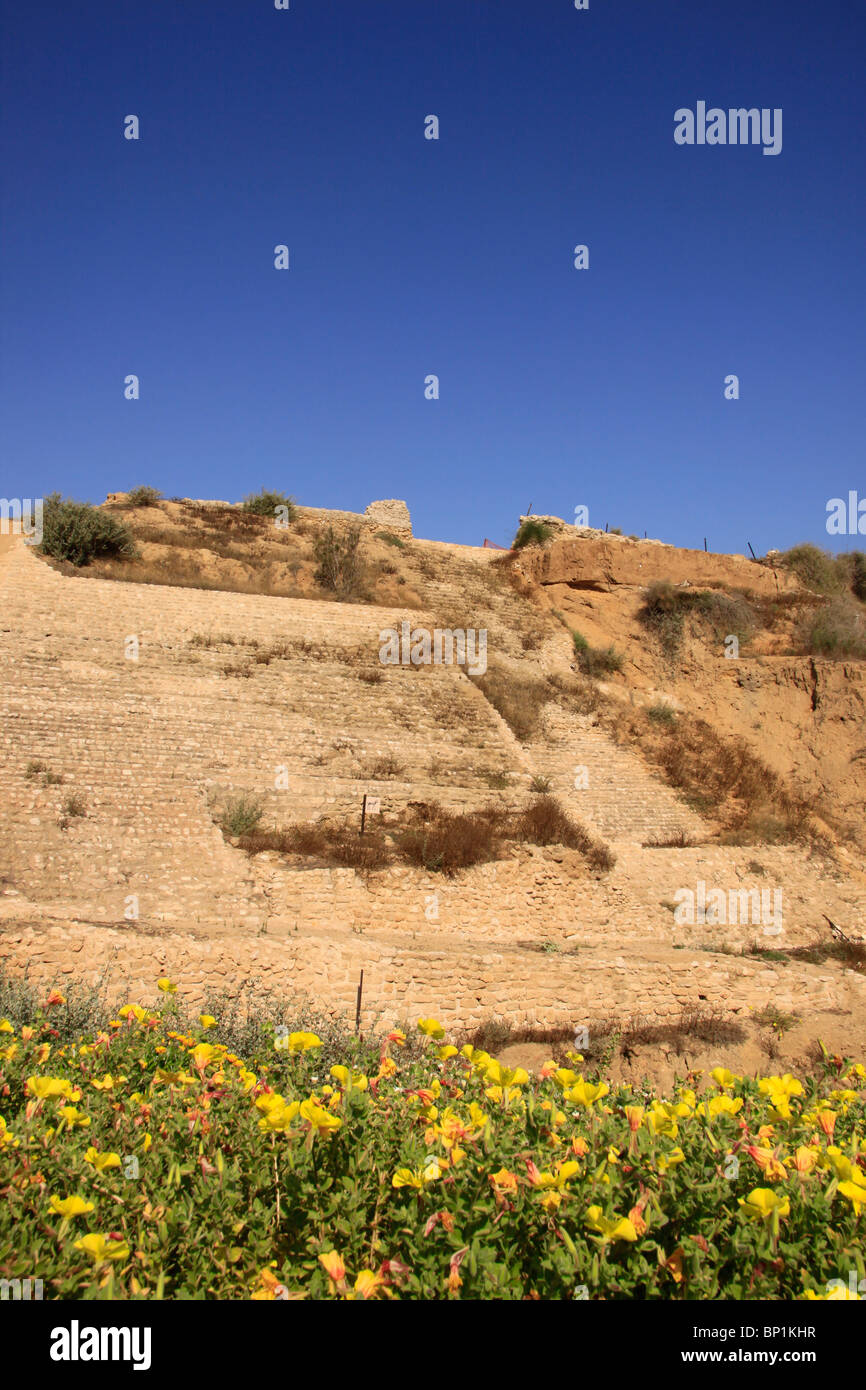 Israël, le sud de la plaine côtière, fortifications d'Ashkelon Cananéenne Banque D'Images