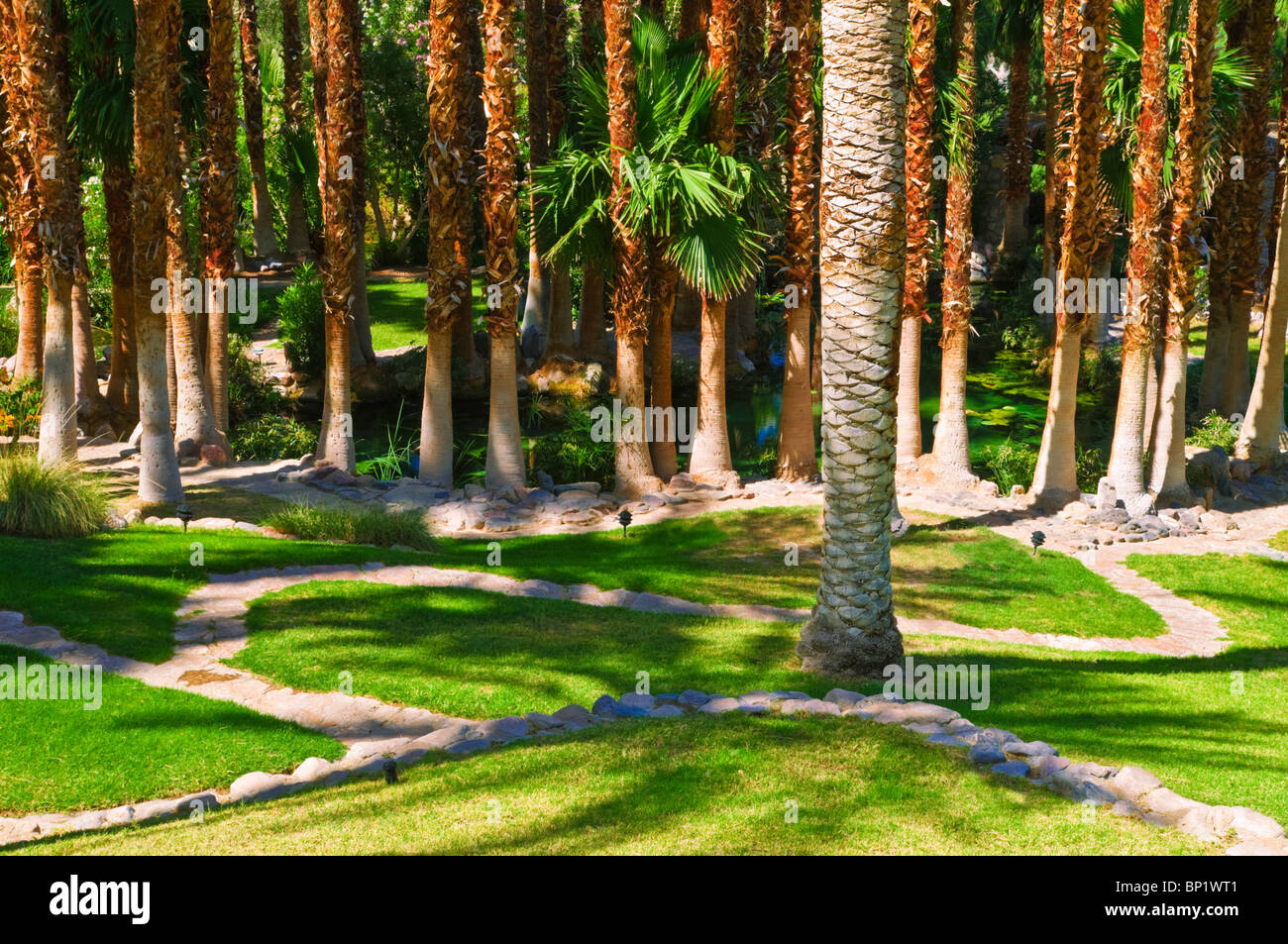 Palms et le chemin à Furnace Creek Inn, Death Valley National Park. Californie Banque D'Images