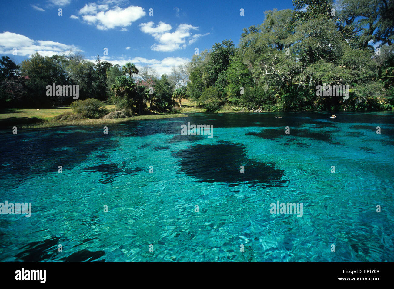 Impressions de la rivière Arc-en-ciel, Rainbow River, Florida, USA Banque D'Images