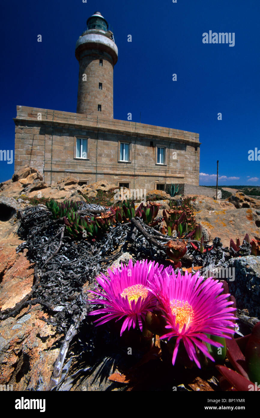 Phare de l'île de San Pietro, en Sardaigne, Italie Banque D'Images