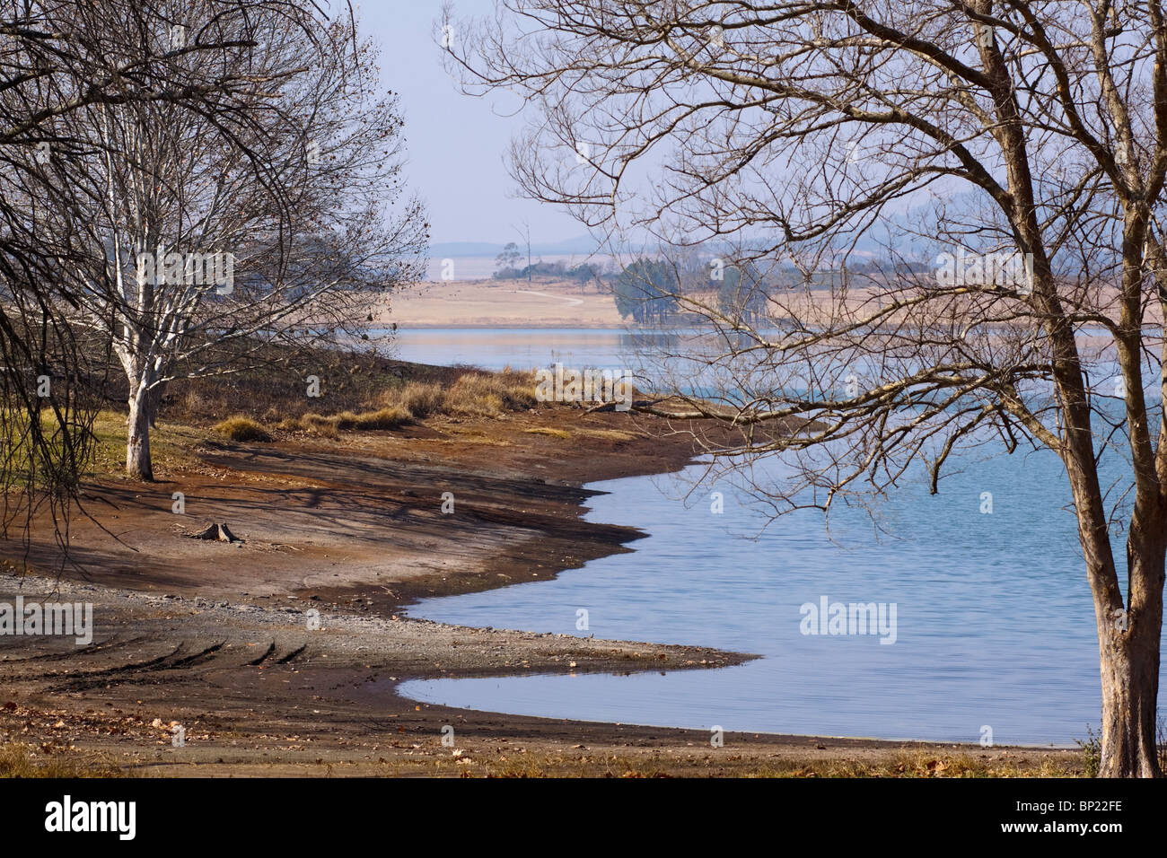 Rivage du lac encadrée par des arbres sans feuilles en hiver. Midlands, KwaZulu Natal, Afrique du Sud. Banque D'Images