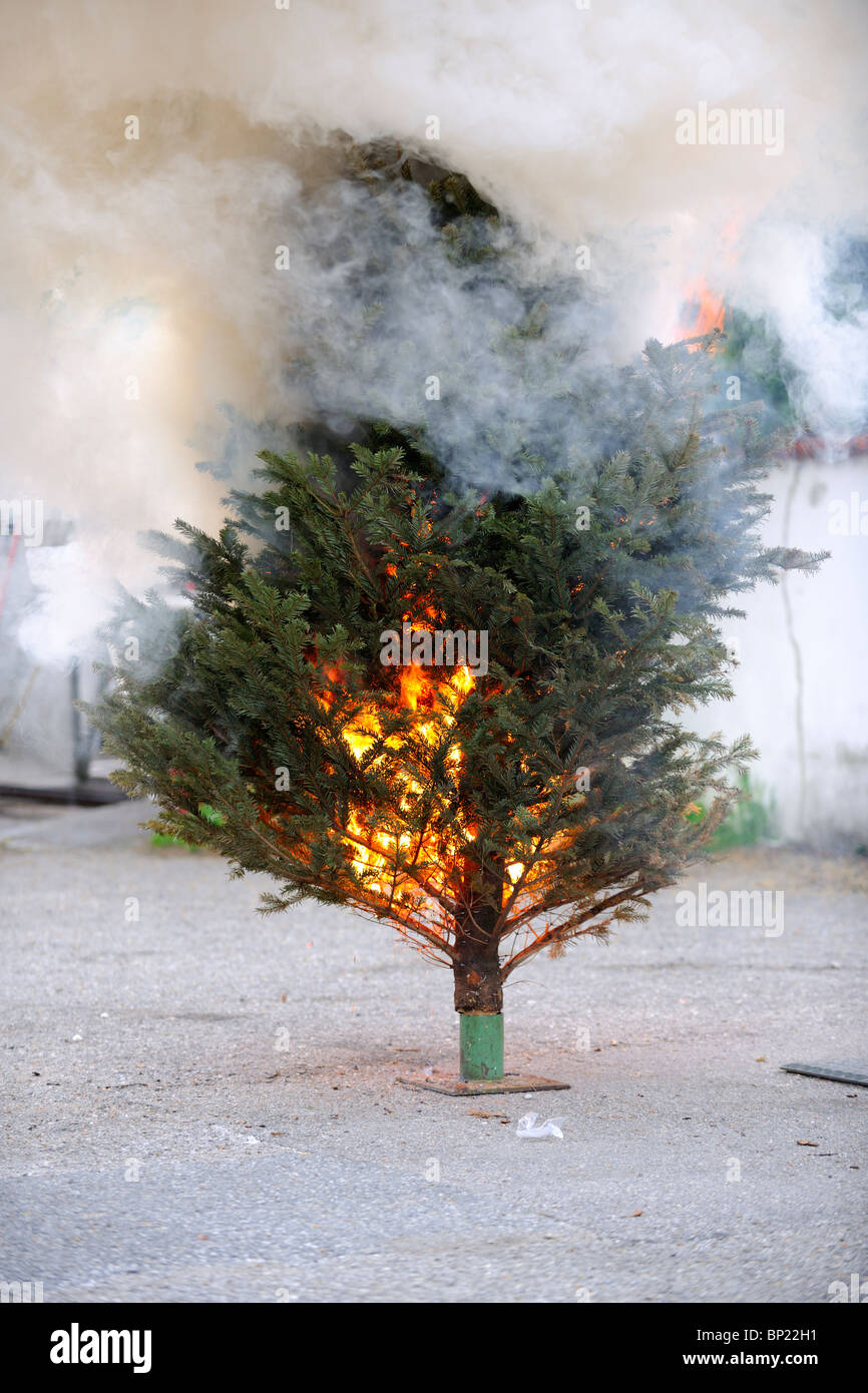 Séquence de l'arbre de Noël de gravure. À partir du début jusqu'à la fin. Banque D'Images
