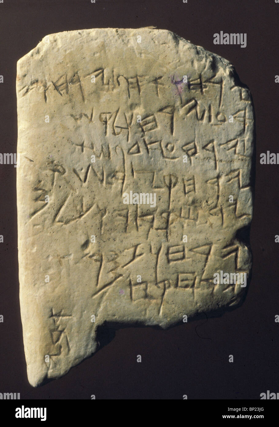 Calendrier GUÉZER une inscription en hébreu ancien texte gravé sur une pierre calcaire. Peut-être la plus ancienne inscription en hébreu jamais Banque D'Images