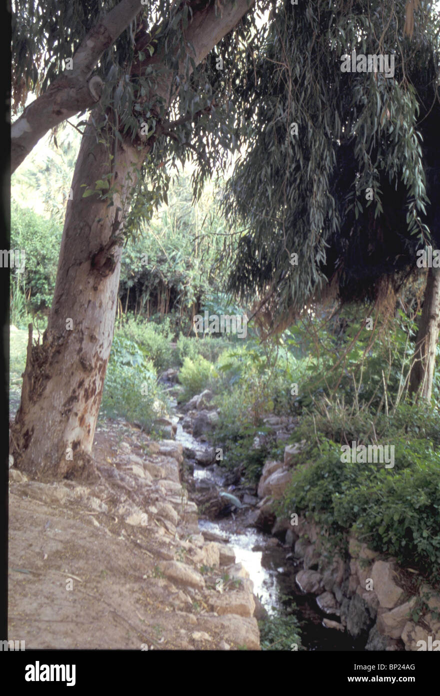 462. ELISHA'S SPRING près de Jéricho, où le Prophète ACCOMPLIT UN MIRACLE (II Rois 2:19-22) Banque D'Images