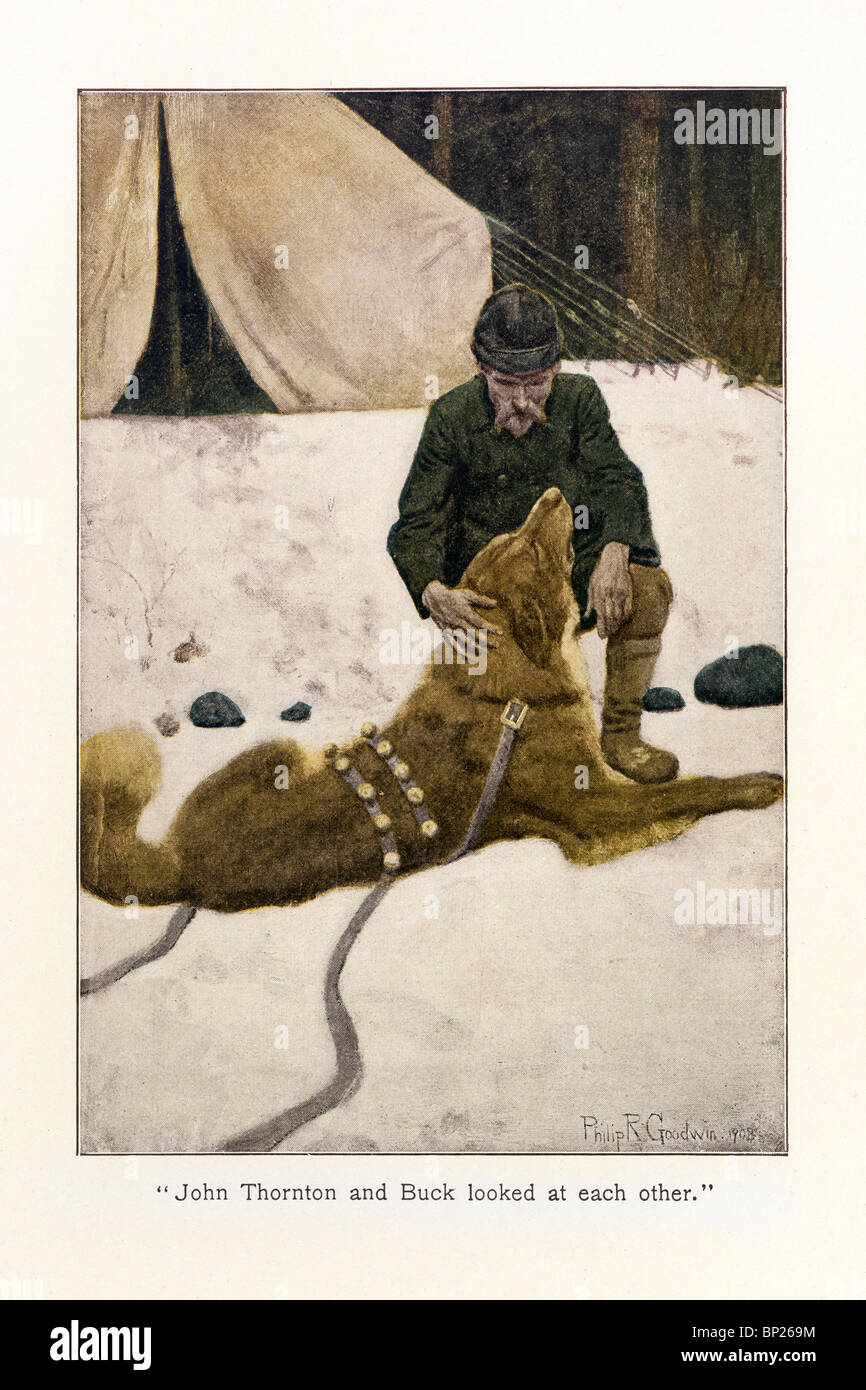 Résumé L'appel De La Forêt Jack London