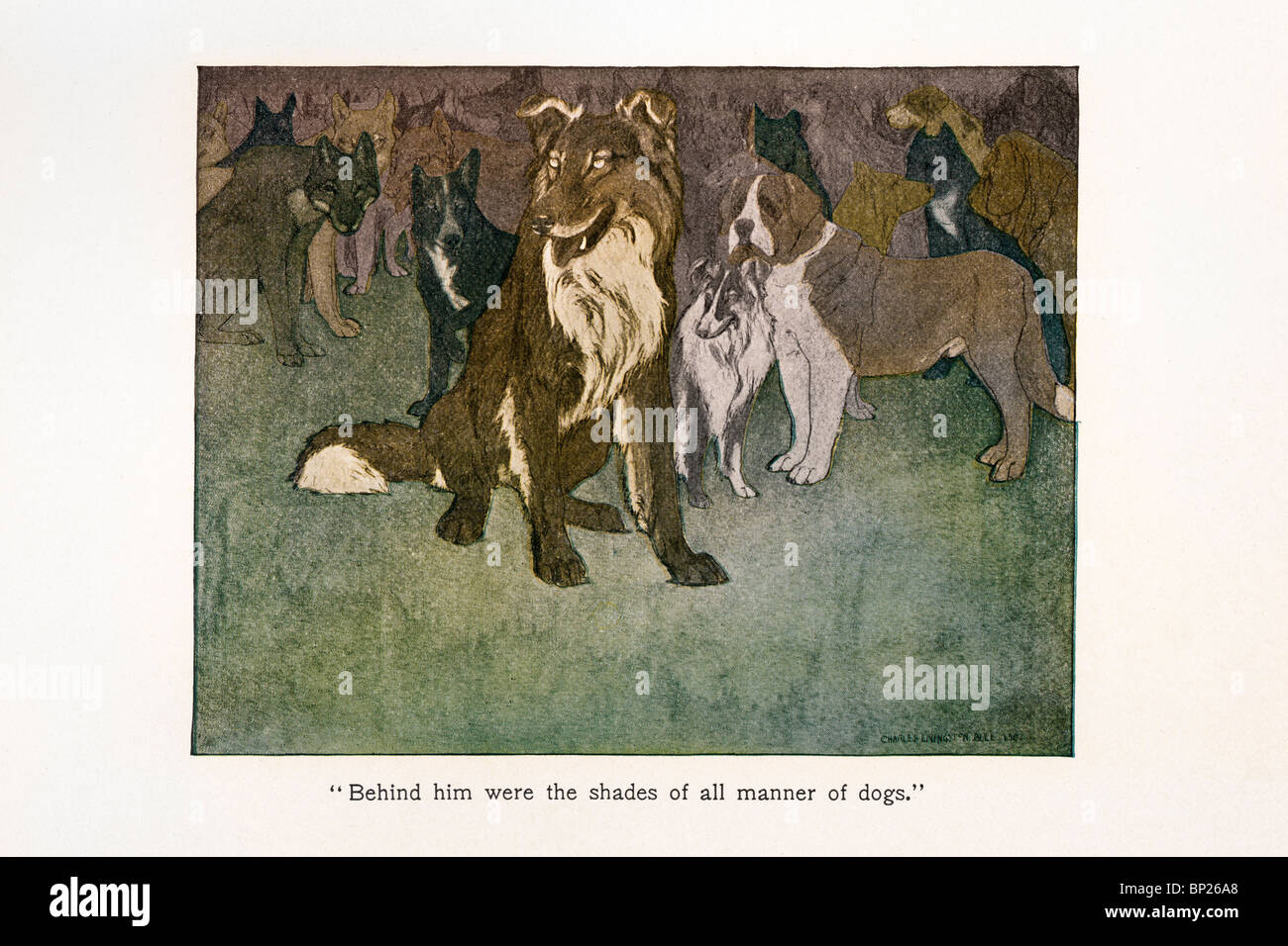 L Appel De La Foret Portrait Des Personnages Jack london call wild Banque de photographies et d'images à haute  résolution - Alamy