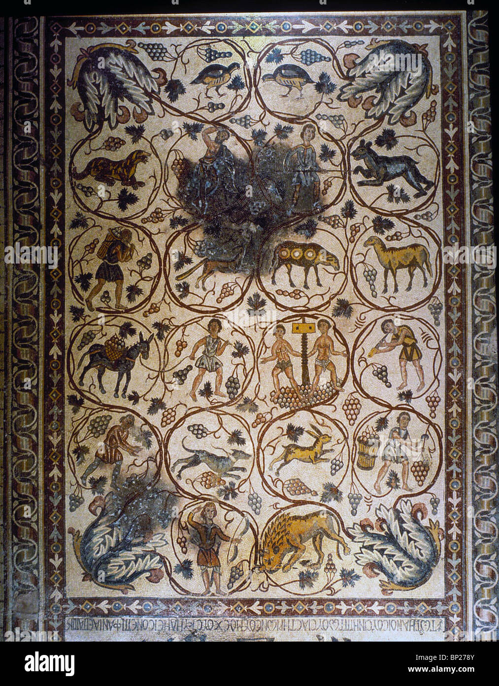 1540. Sol en mosaïque de l'église byzantine de 'Lot', PROCOPE ET À EL-MUHIAT TRANS (Jordanie) datant de l'année 557 A.D. Banque D'Images