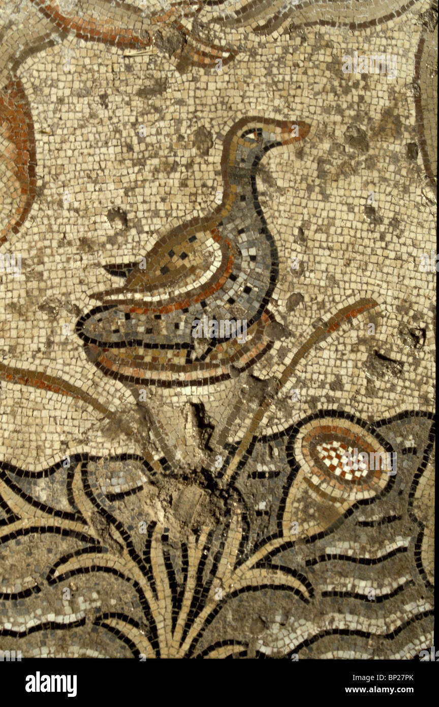 988. SEPPHORIS, sol de mosaïque à partir d'un bâtiment romain tardif, DATANT DE LA 5ÈME. C. A.D. ILLUSTRANT LA CÉLÉBRATION DU NIL Banque D'Images