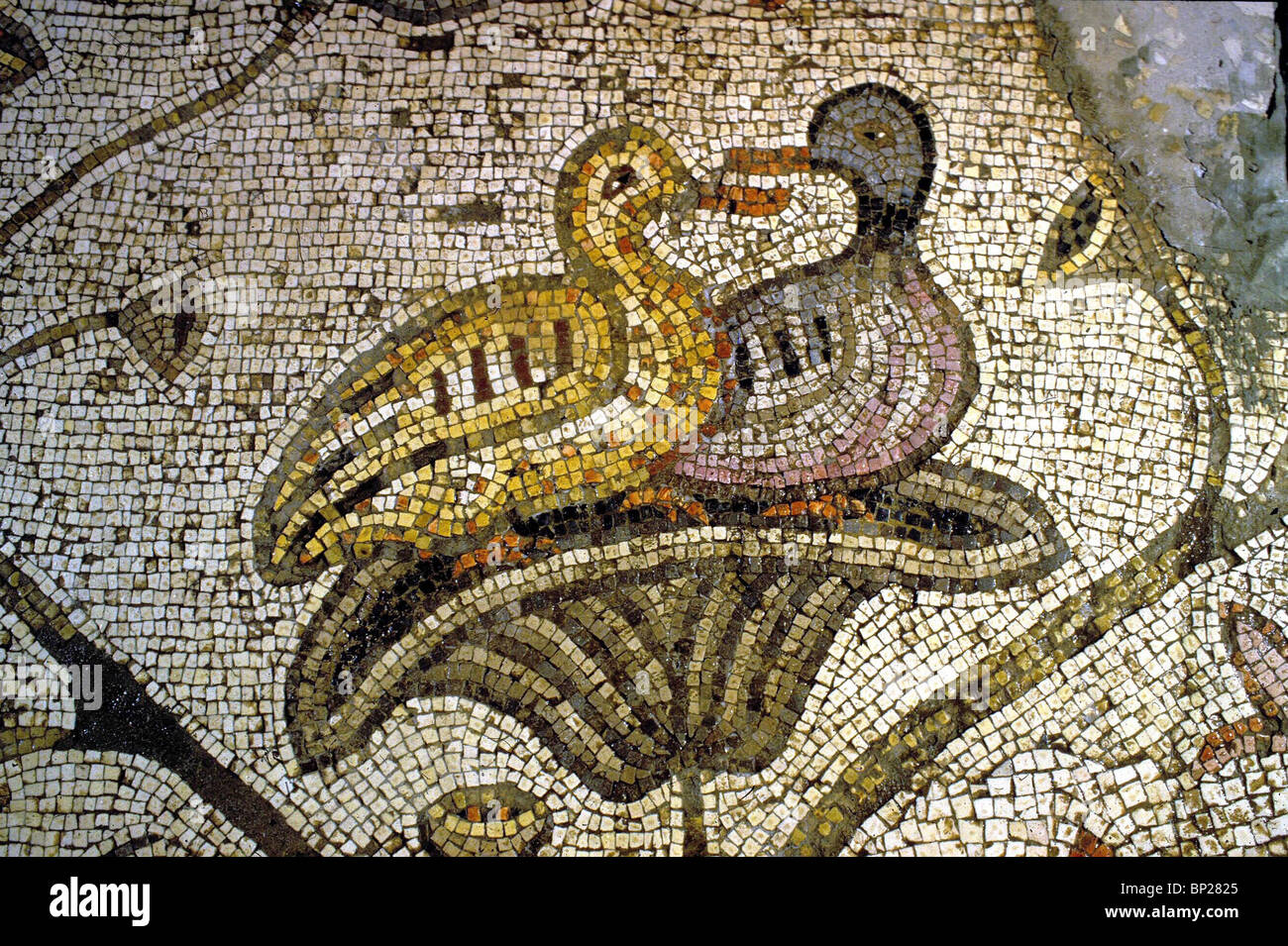TABGHA, sur la mer de Galilée. Des scènes de la mosaïque byzantine marbre dépeignant la vie sauvage autour du lac. PIC : NICHÉE CANARDS Banque D'Images