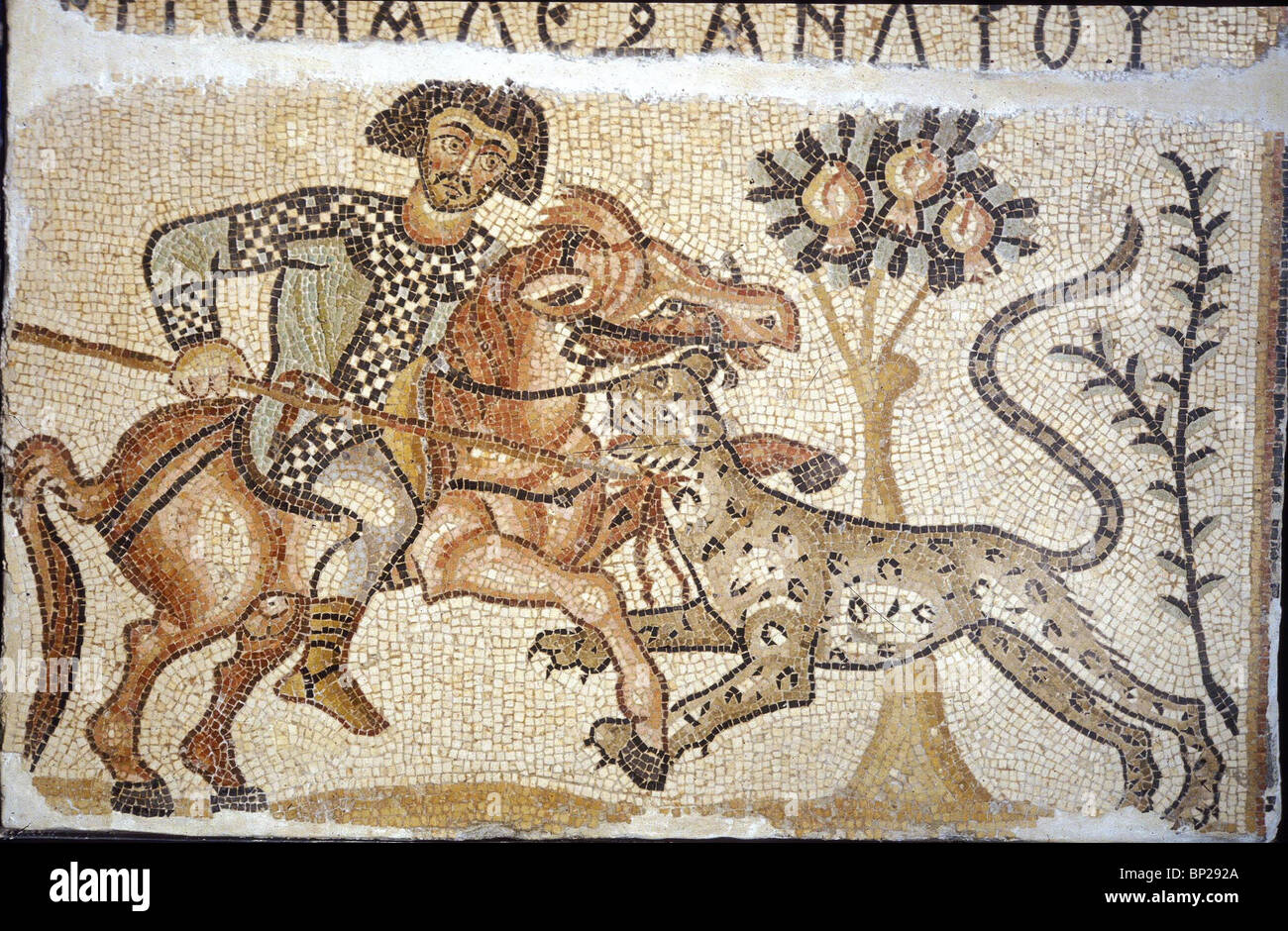 2514. Mosaïque d'un 6ème. C. église byzantine de Kissufim, nord du Néguev, détail illustrant un chasseur tuant un tigre Banque D'Images