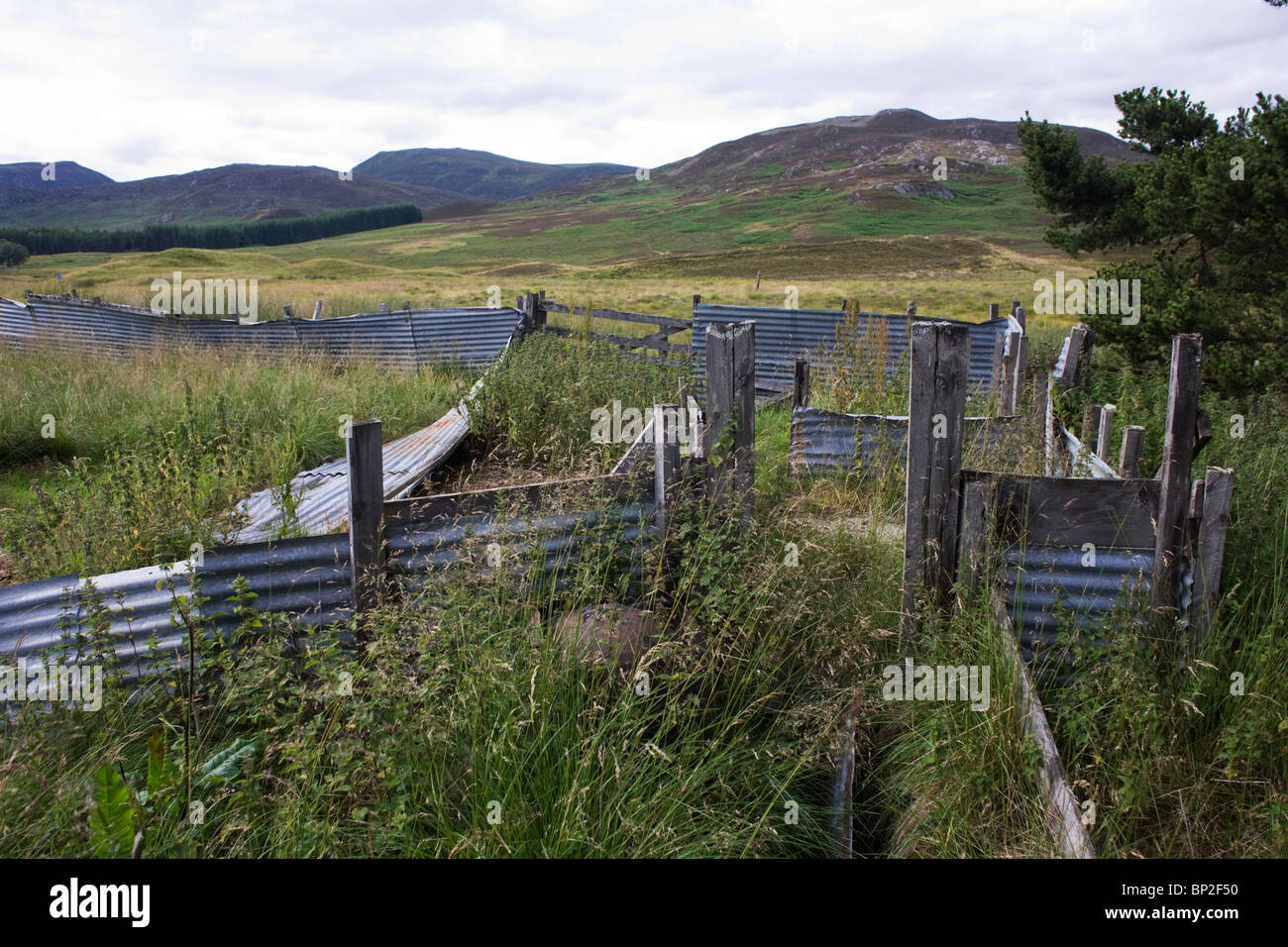 Tôles ondulées rouillées abandonnées dans des enclos de ferme d'élevage dans la région de Glen Bauchor, Newtonmore, en Écosse. Banque D'Images