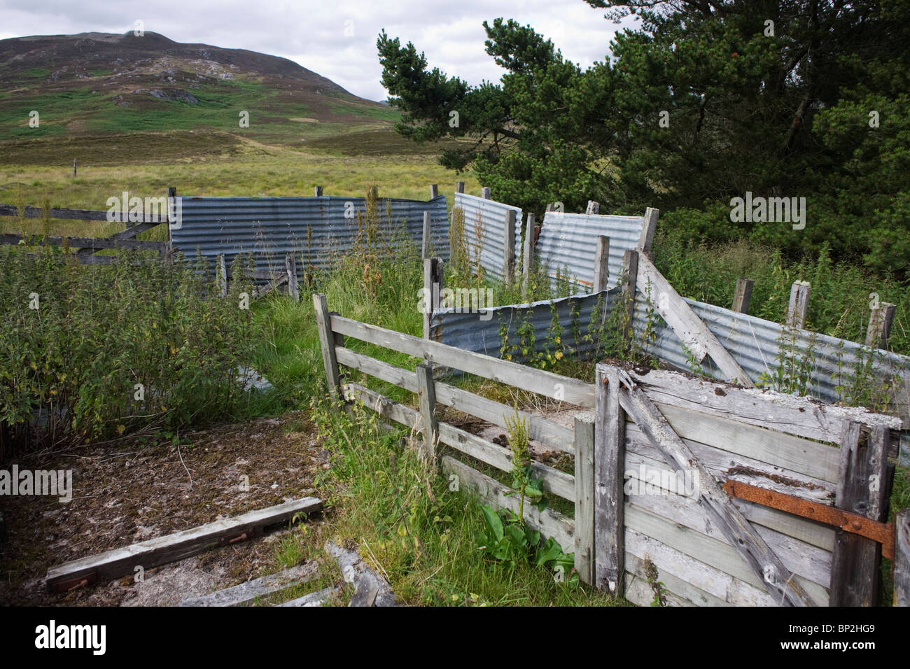 Tôles ondulées rouillées abandonnées dans des enclos de ferme d'élevage dans la région de Glen Bauchor, Newtonmore, en Écosse. Banque D'Images