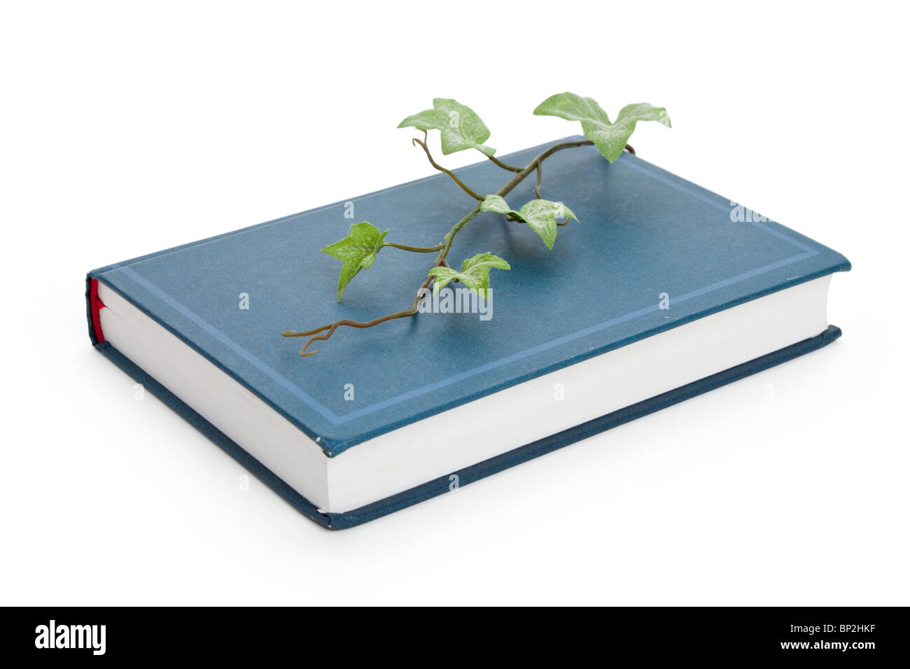 Livre bleu et de germination, l'éducation concept Banque D'Images