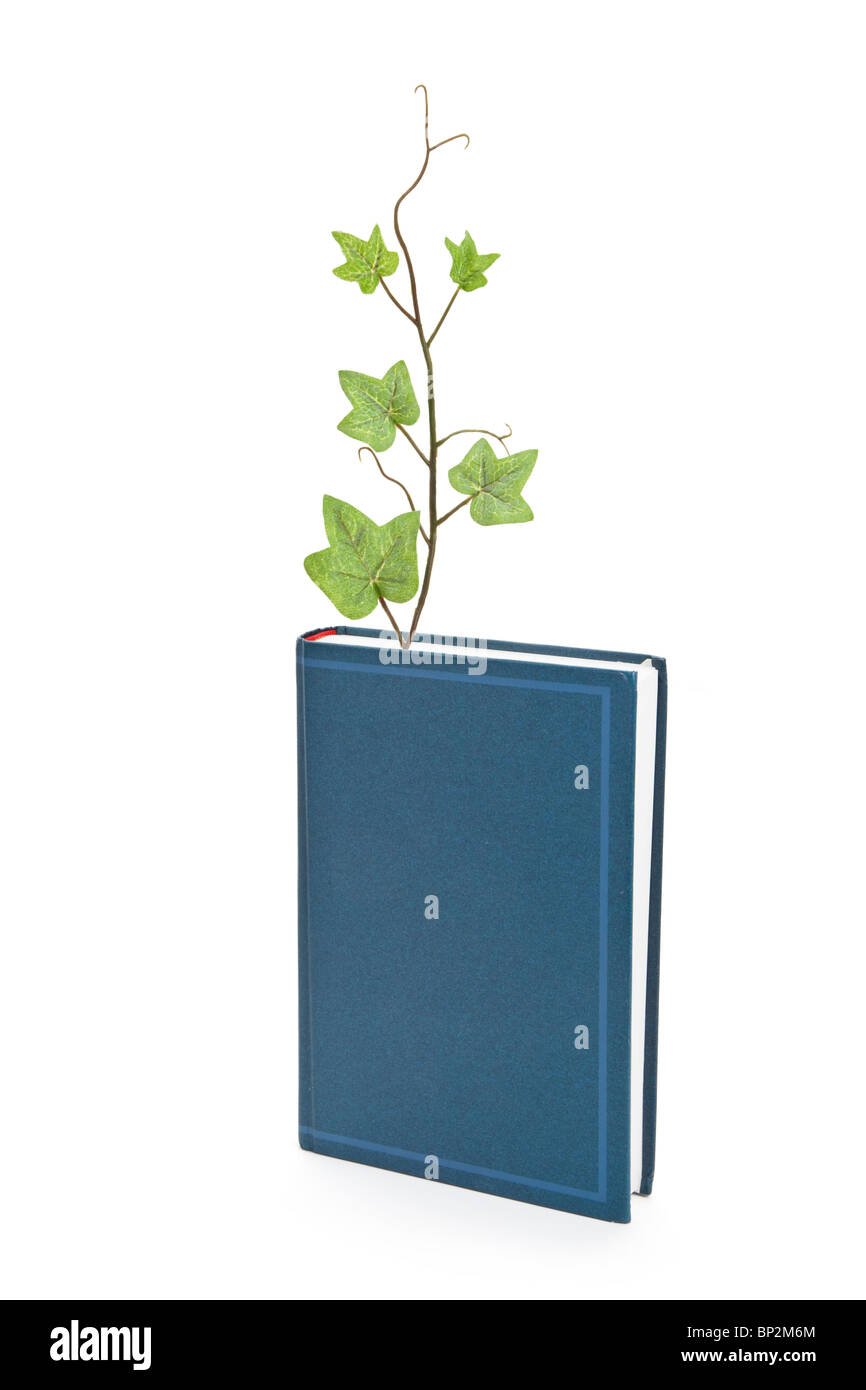 Livre bleu et de germination, l'éducation concept Banque D'Images