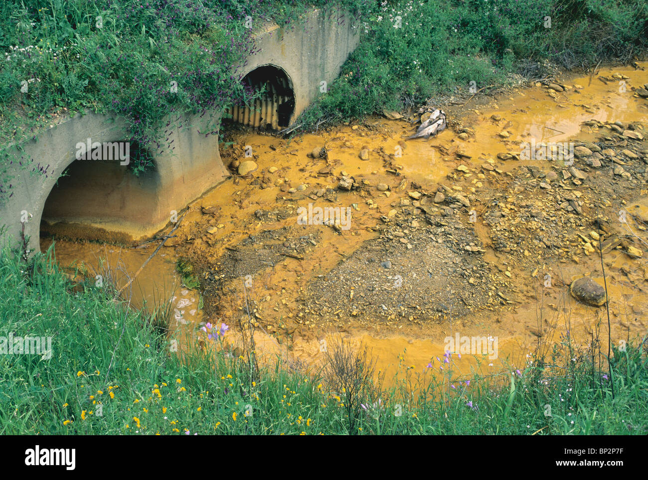 Mine de cuivre abandonnée dans le ruisseau de ruissellement, de poissons morts à bord de l'eau. Banque D'Images
