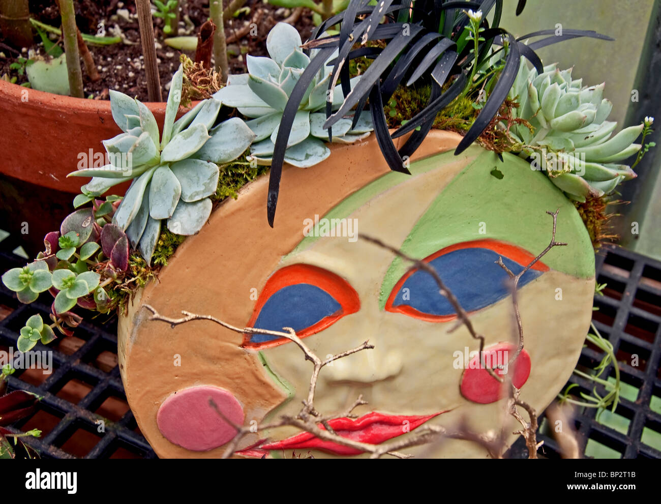 Beau pot en argile à la main est faite dans un visage soleil/lune et a un superbe arrangement de plantes avec diverses plantes grasses. Banque D'Images