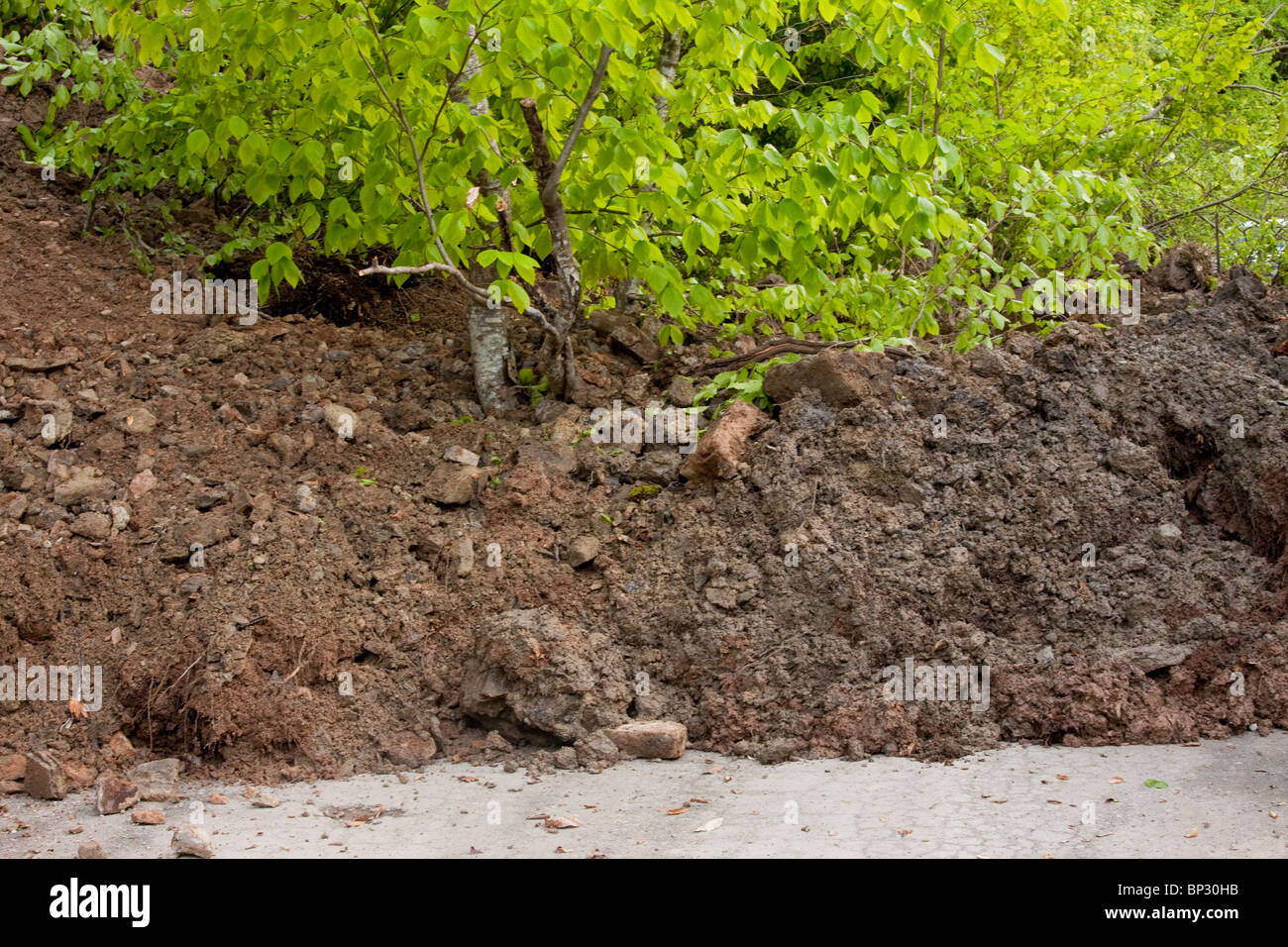 Nouveau glissement de terrain, qui se passe encore, dans de fortes pluies dans la vallée Gudani, Grand Caucase, la Géorgie. Banque D'Images