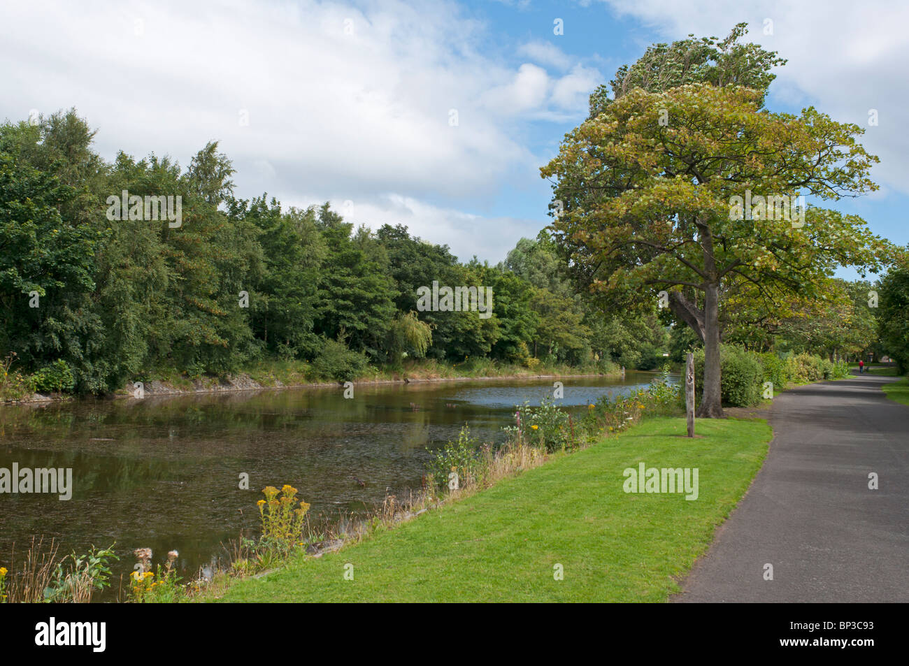 Scène du parc Victoria, à East Belfast, un ASSI (domaine d'intérêt scientifique). Banque D'Images