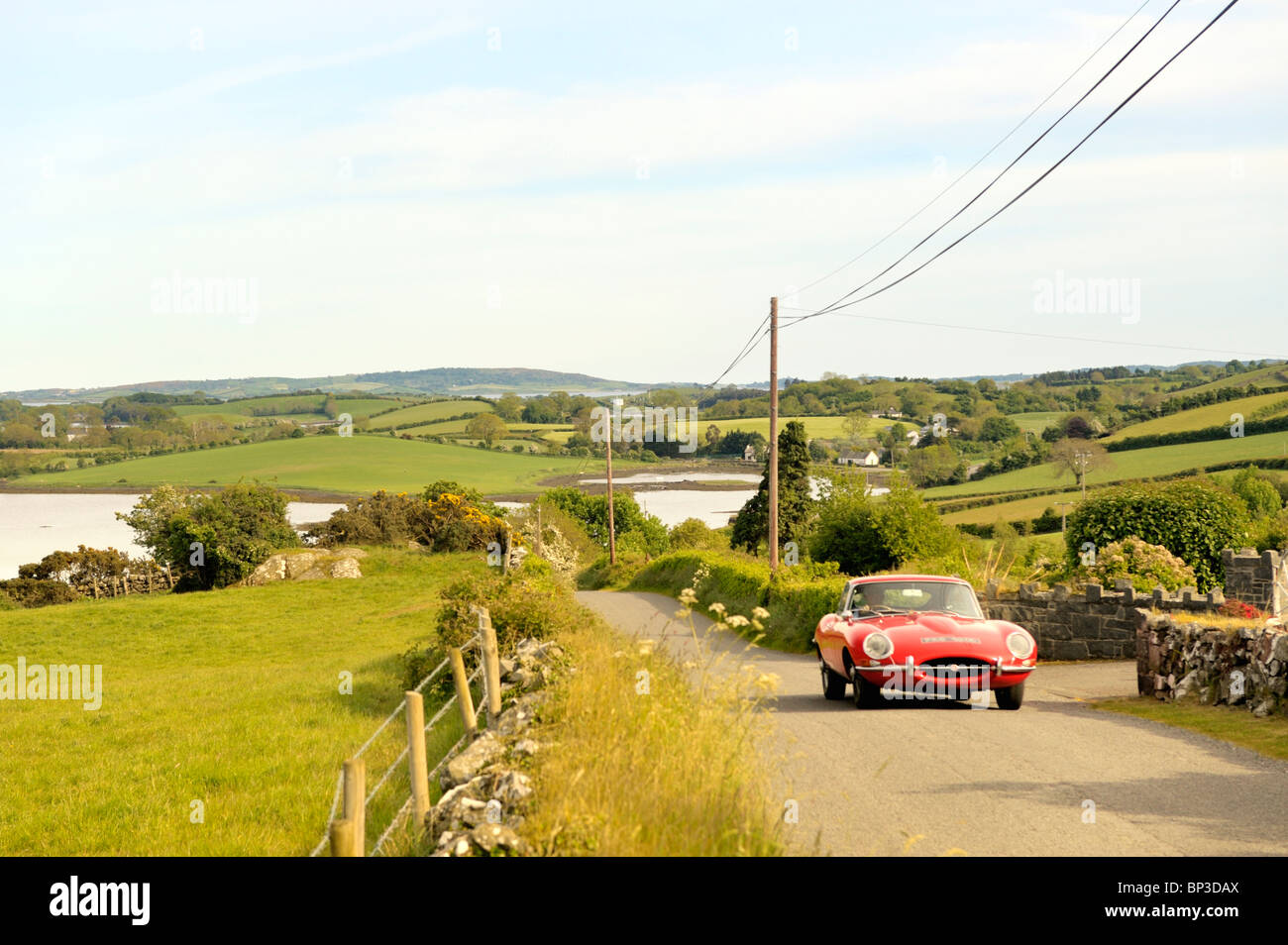 Strangford Lough à Killinchy Co., vers le bas, l'Irlande du Nord. Automobile Jaguar Type E de la conduite sur route de campagne. Banque D'Images