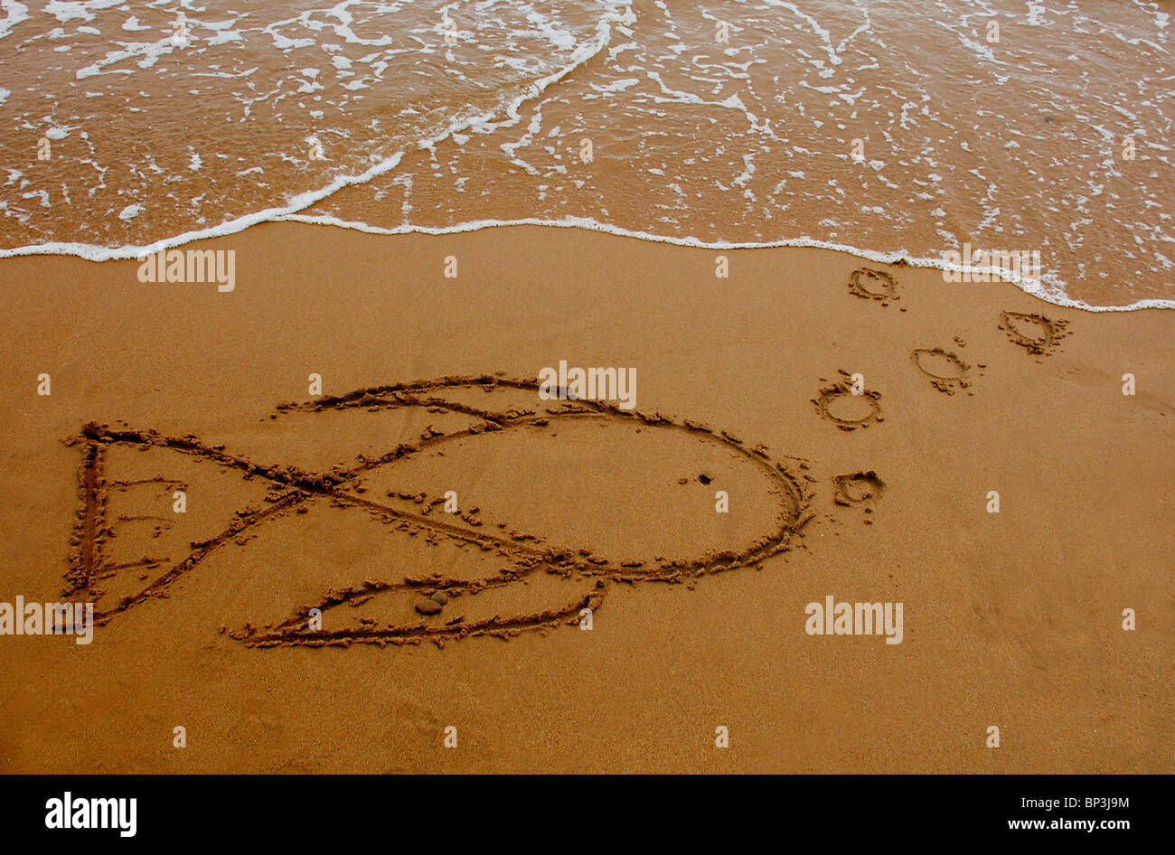 Tiré de poissons dans le sable Banque D'Images