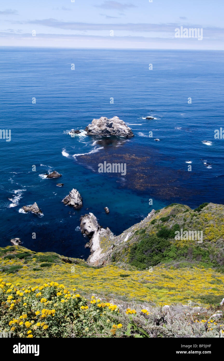 Côte de Californie, la Route 1 Banque D'Images