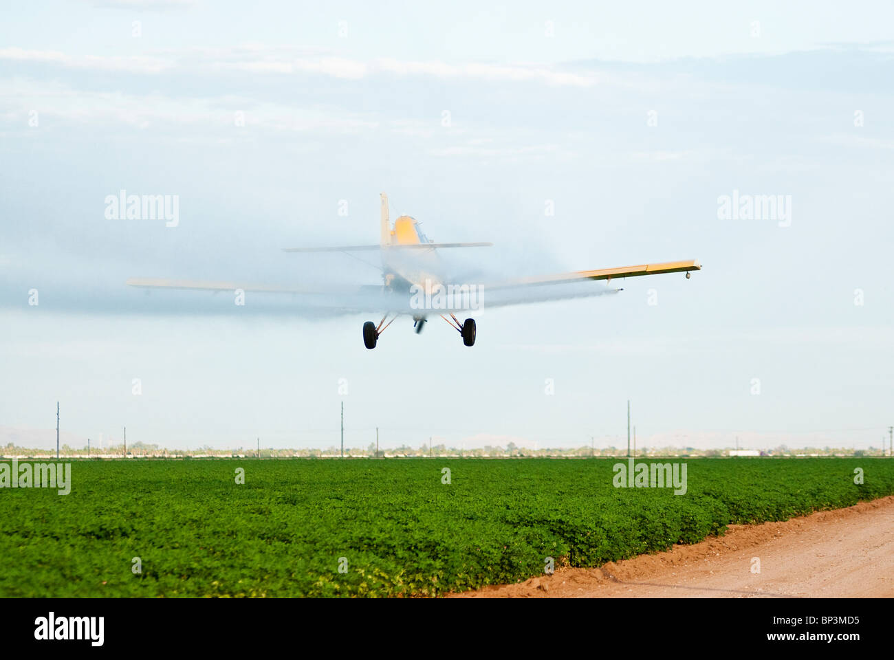 Un avion pulvérisateur applique des pesticides à un champ de coton venant à échéance. Banque D'Images