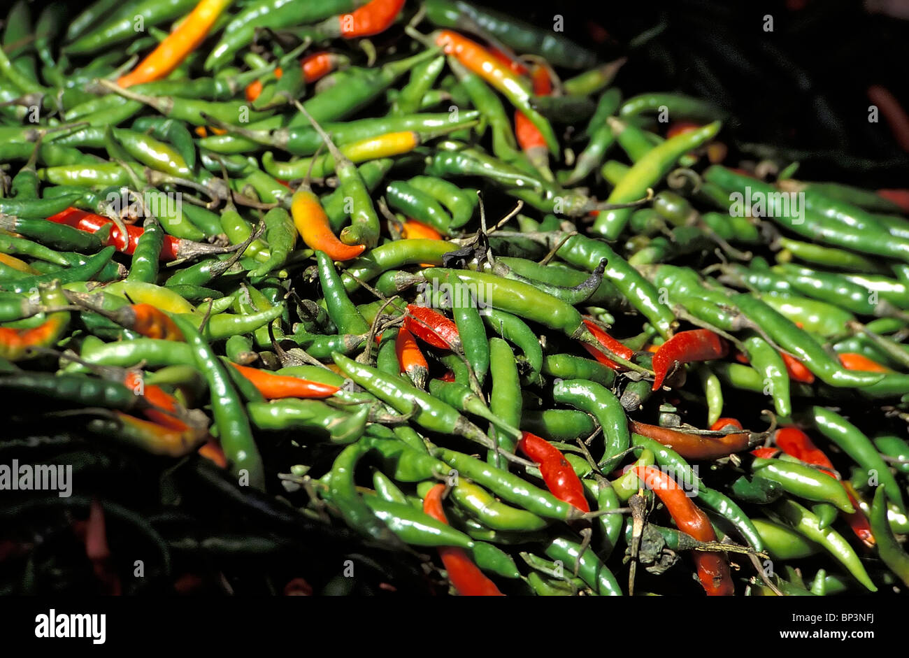 Chili Peppers, Thimphu, Bhoutan Banque D'Images