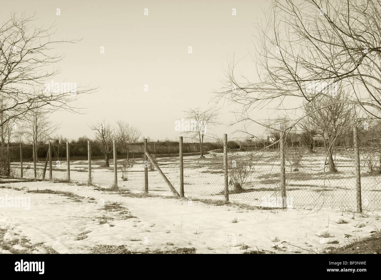 Un paysage d'hiver enneigé, divisé par une clôture Banque D'Images