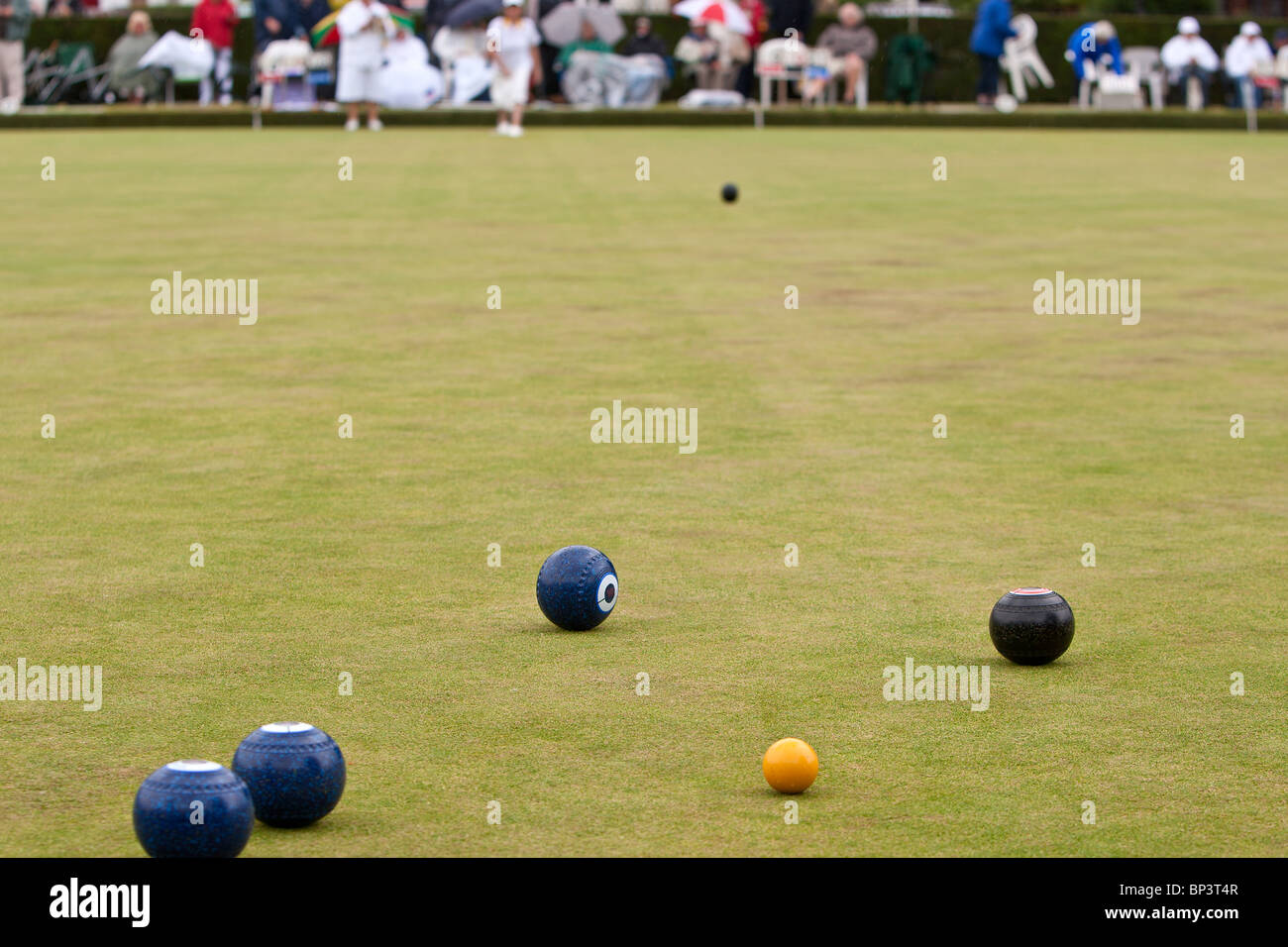 Jeu de boules sur pelouse. Dame joueur a juste joué son bois vers la prise. Réduire la profondeur de champ. Banque D'Images