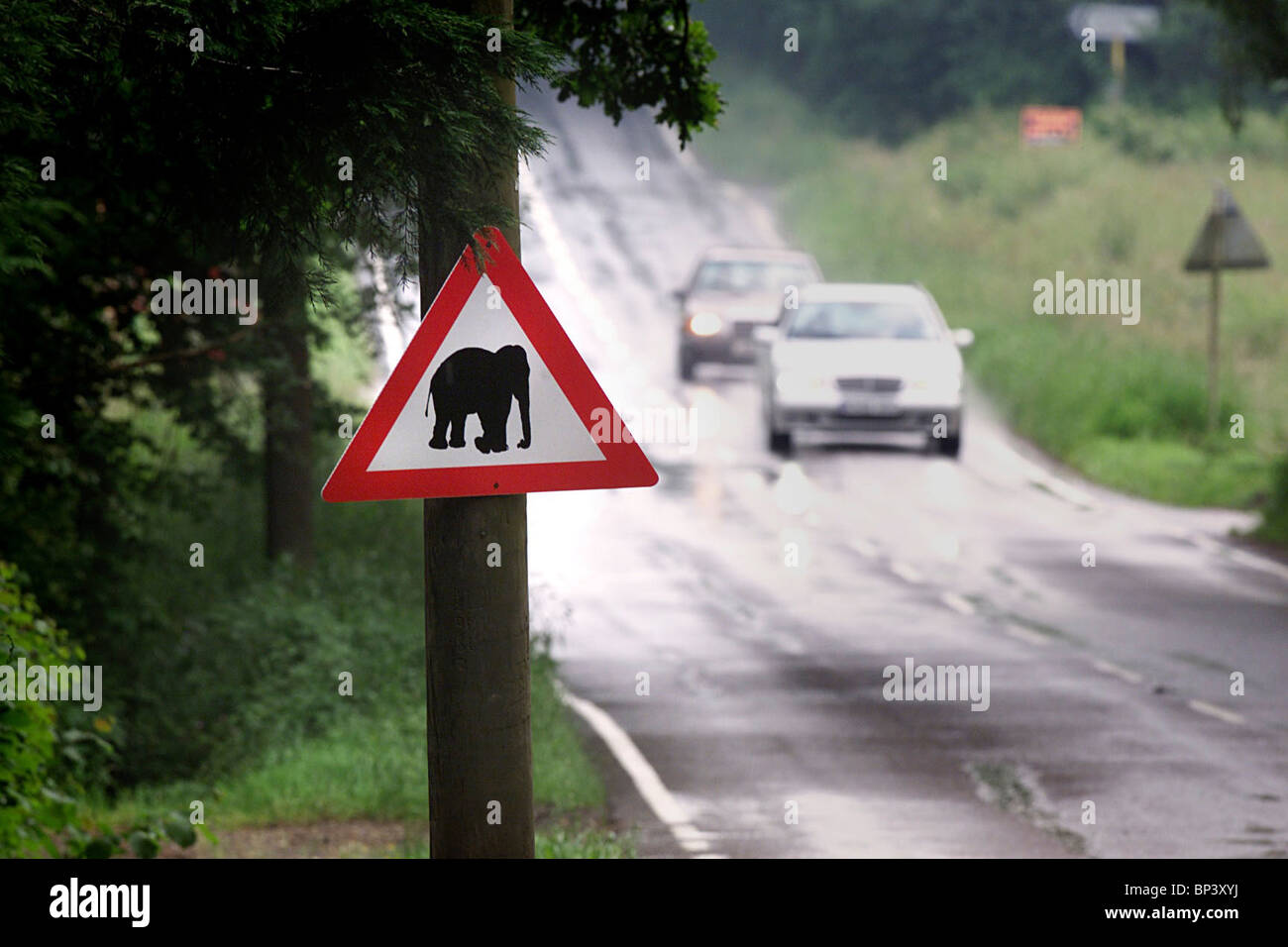 Réseau routier : l'A275 dans l'East Sussex avec un signe inhabituel qui a été mis en place représentant un éléphant. Banque D'Images