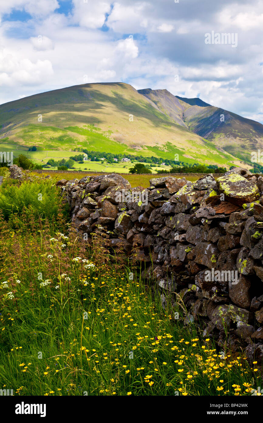 Un mur de pierres sèches et de fleurs sauvages près de cercle de pierres de Castlerigg dans le Parc National du Lake District, Cumbria, England, UK Banque D'Images