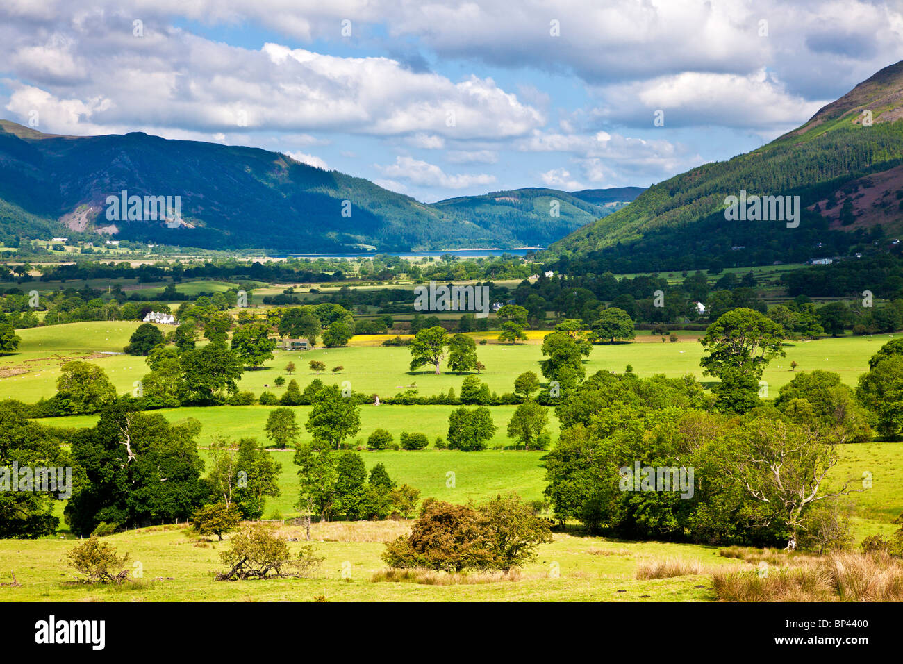 Vue vers le chemin de Bassenthwaite jusqu'à Latrigg près de Keswick, Lake District, Cumbria, England, UK Banque D'Images