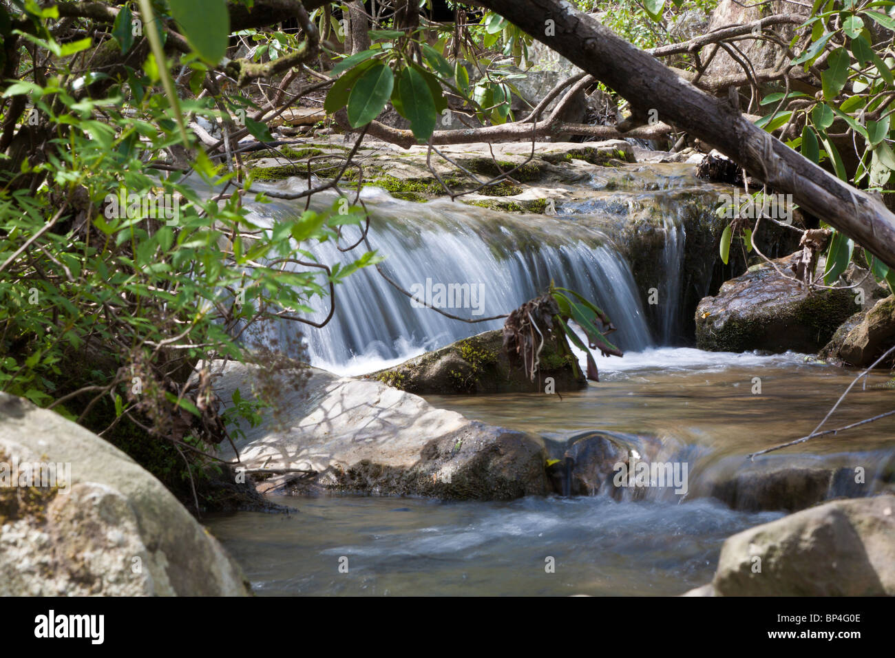 Fort Payne, AL - avr 2009 - petite cascade dans DeSoto State Park à Fort Payne, Alabama Banque D'Images