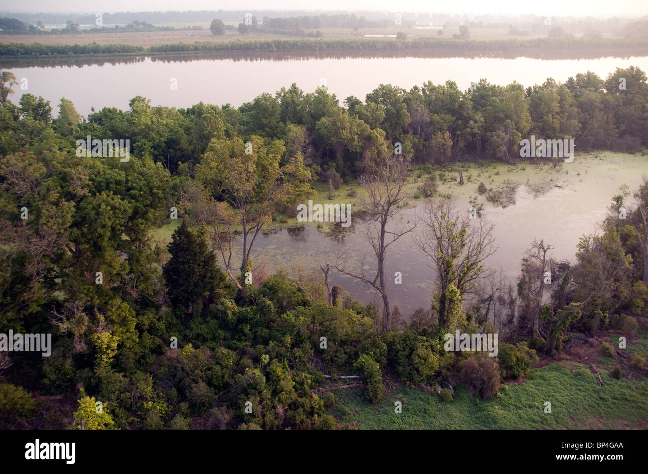 Vue aérienne d'une tourbière au bord de la rivière Rouge, qui coule près de Shreveport, dans le nord de la Louisiane, aux États-Unis. Banque D'Images