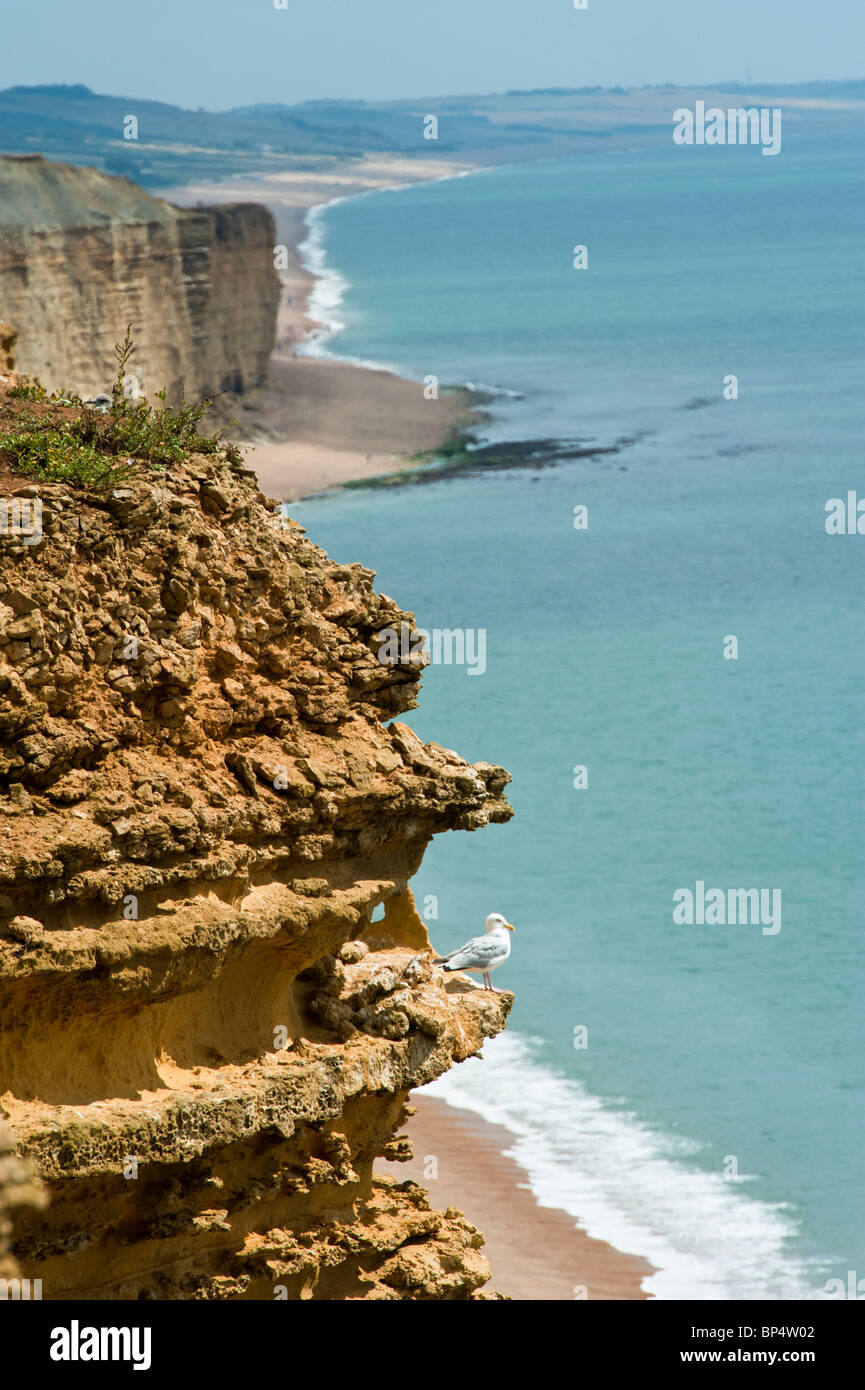 West Bay Bridport Dorset Banque D'Images