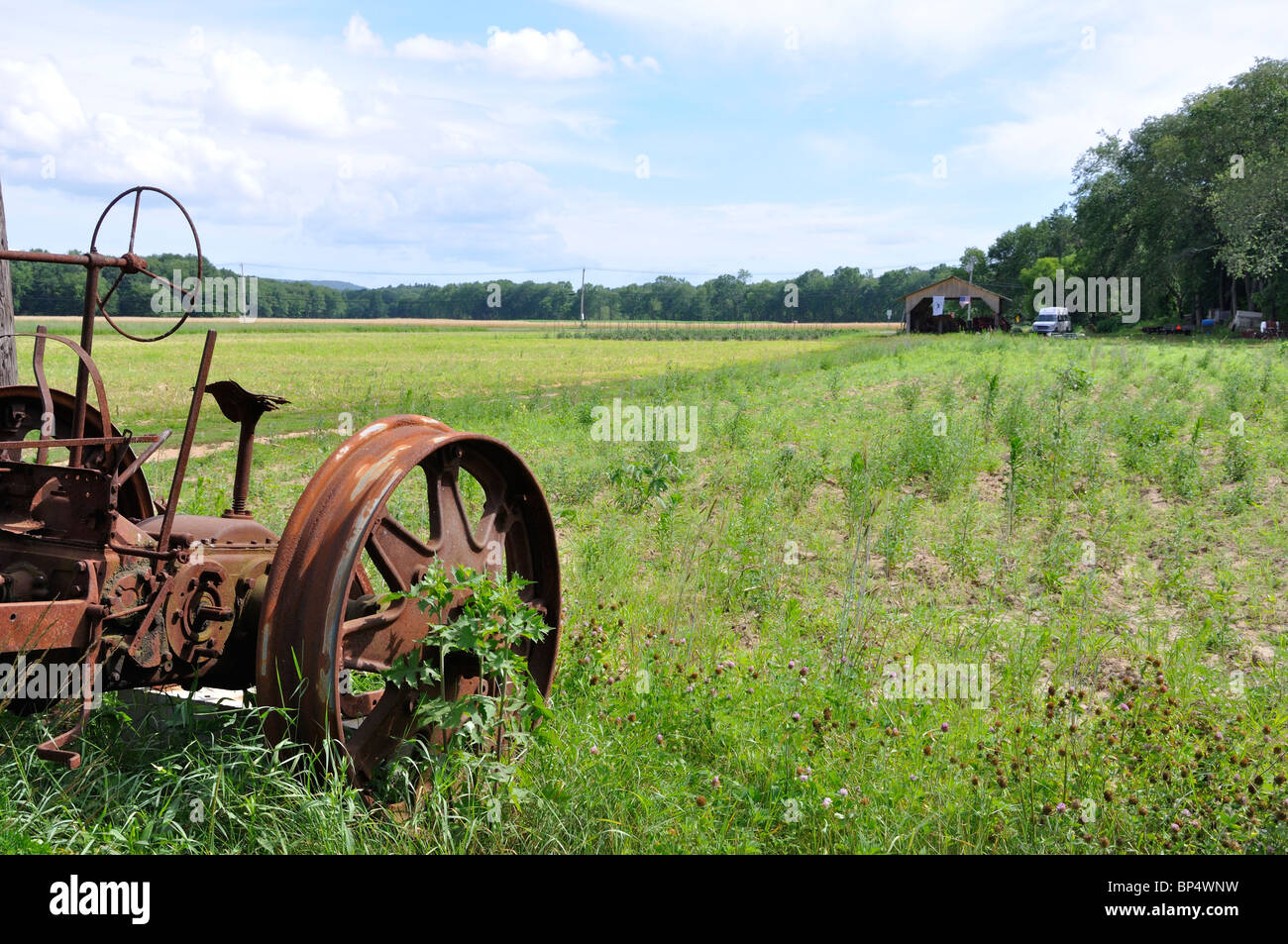 La campagne de la Nouvelle-Angleterre, New York, USA Banque D'Images