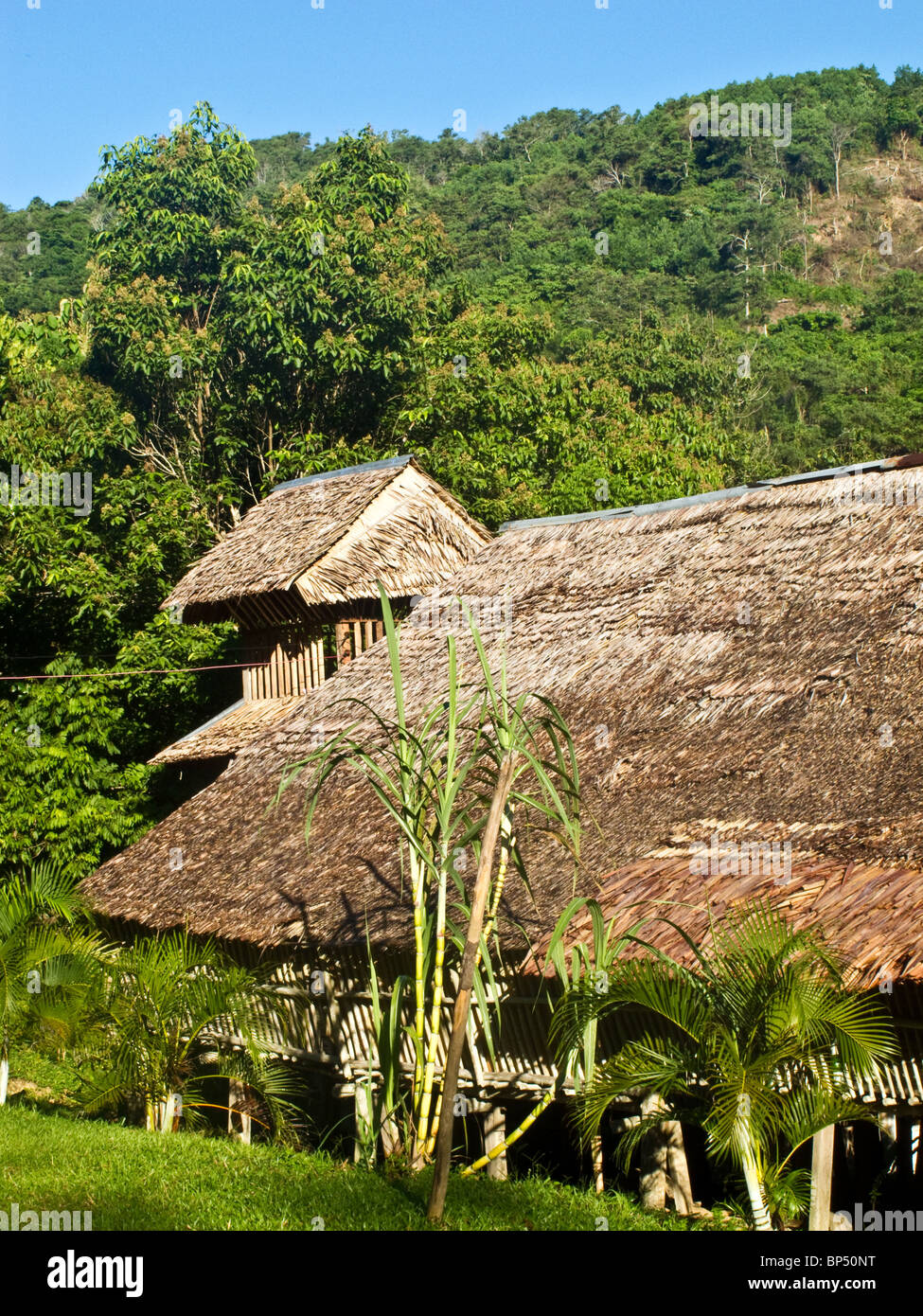 Borneo longue maison sur pilotis faits de matériaux traditionnels à Sabah, Malaisie, Asie Banque D'Images