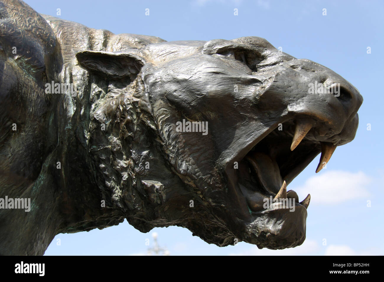 Ancienne statue de lionne féroce sauvage en Inde Banque D'Images