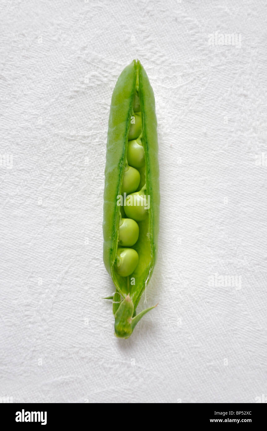 Split pea pod on white Banque D'Images