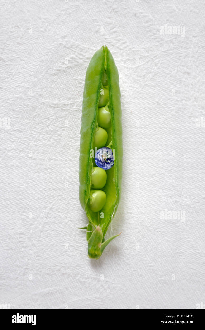 La planète Terre à l'intérieur de gousse de pois Banque D'Images