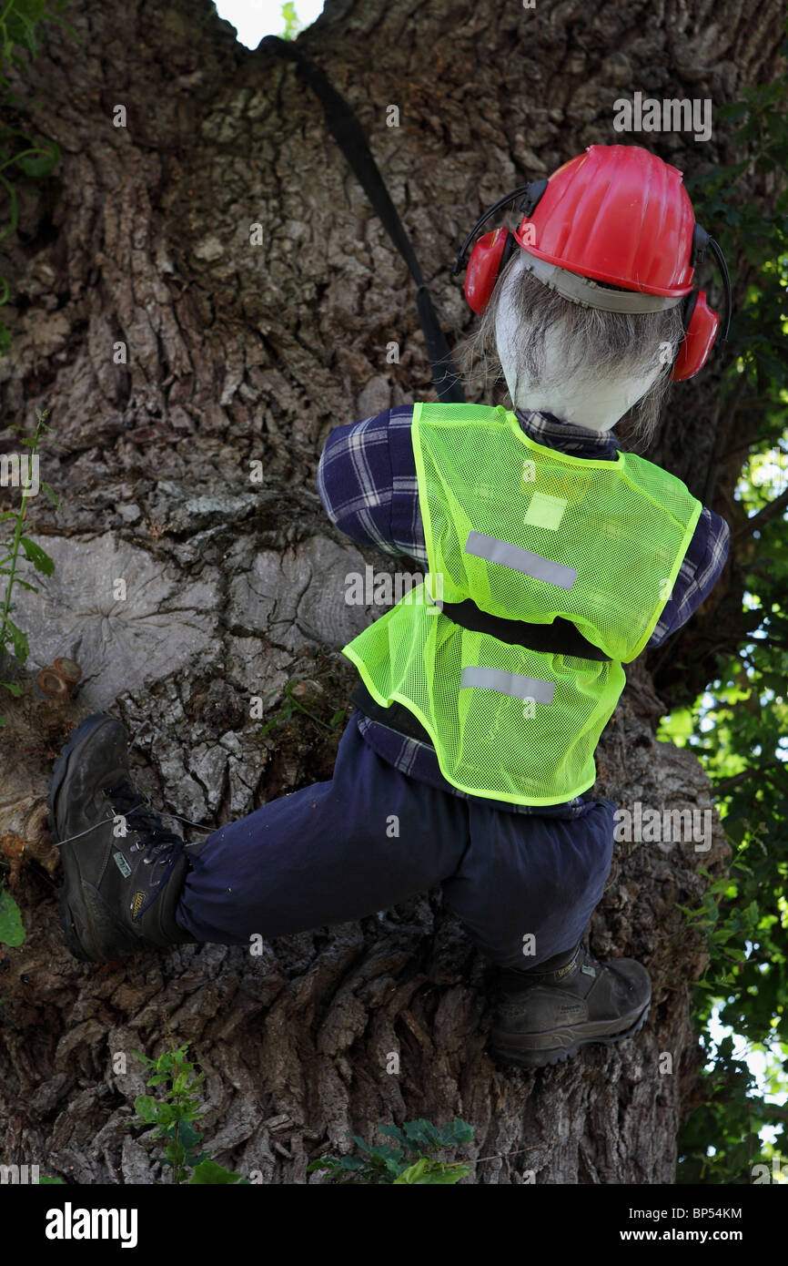 Haut perchée sur un chêne en Acton Burnell,l'un des nouveaux venus dans le thème annuel concours d'épouvantails. Banque D'Images