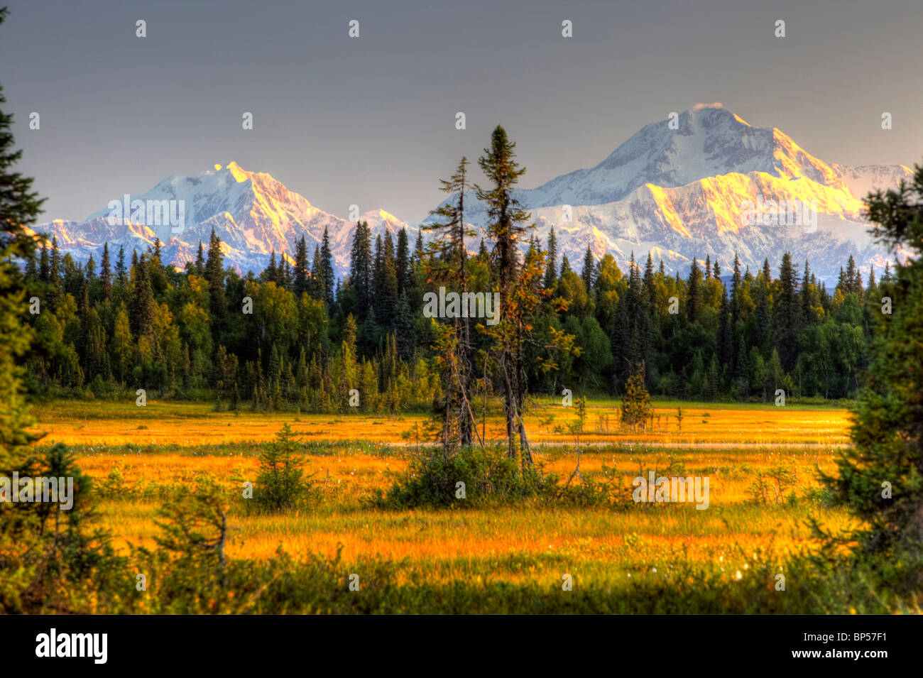 Vue panoramique sur Mt.McKinley vu depuis le sud de la Parc National Denali Southeast Alaska Summer Banque D'Images