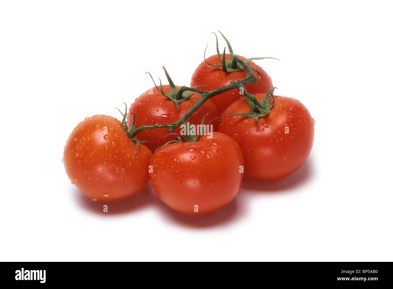 Les tomates sur la vigne Banque D'Images