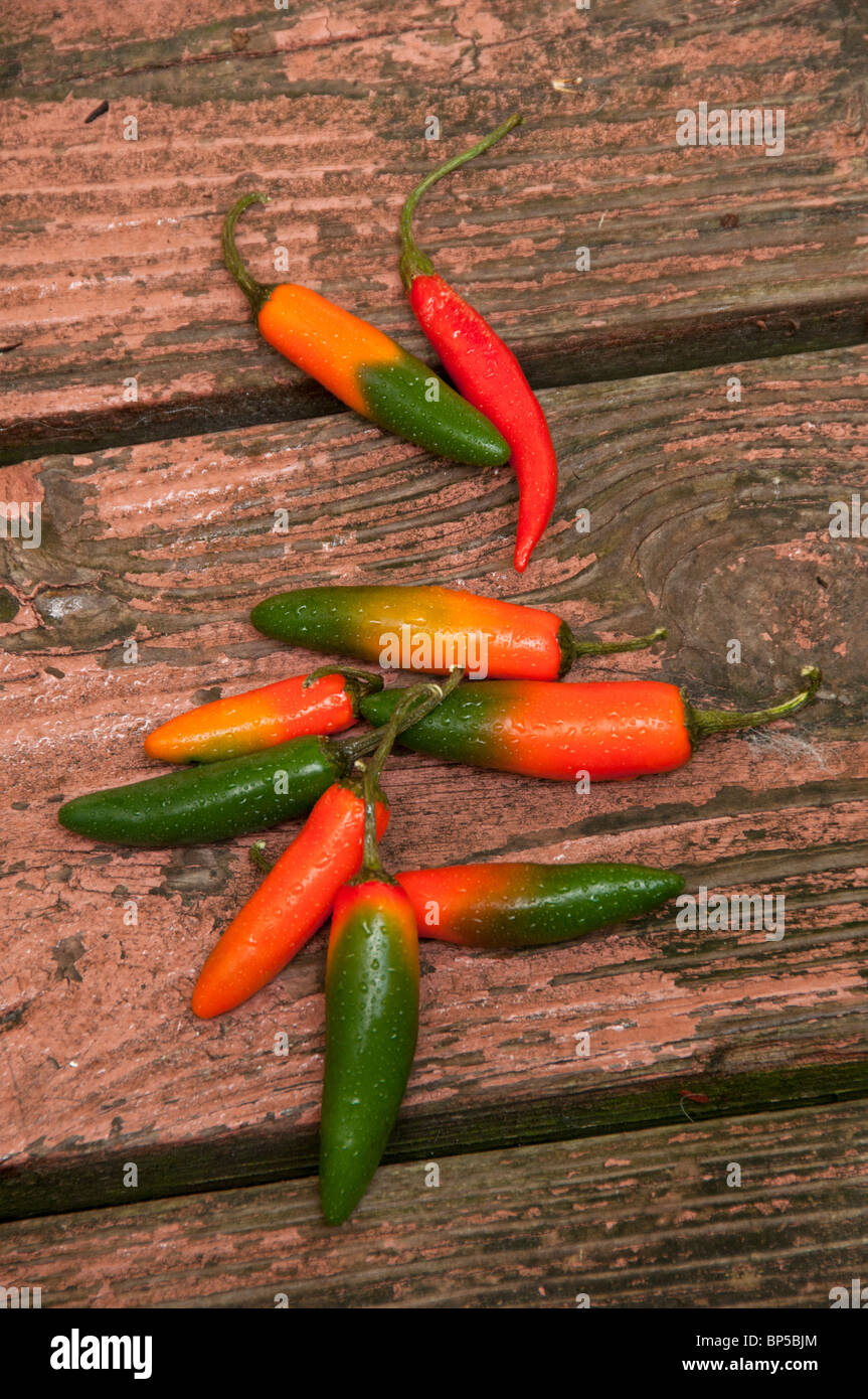 Piments rouges et verts. Banque D'Images