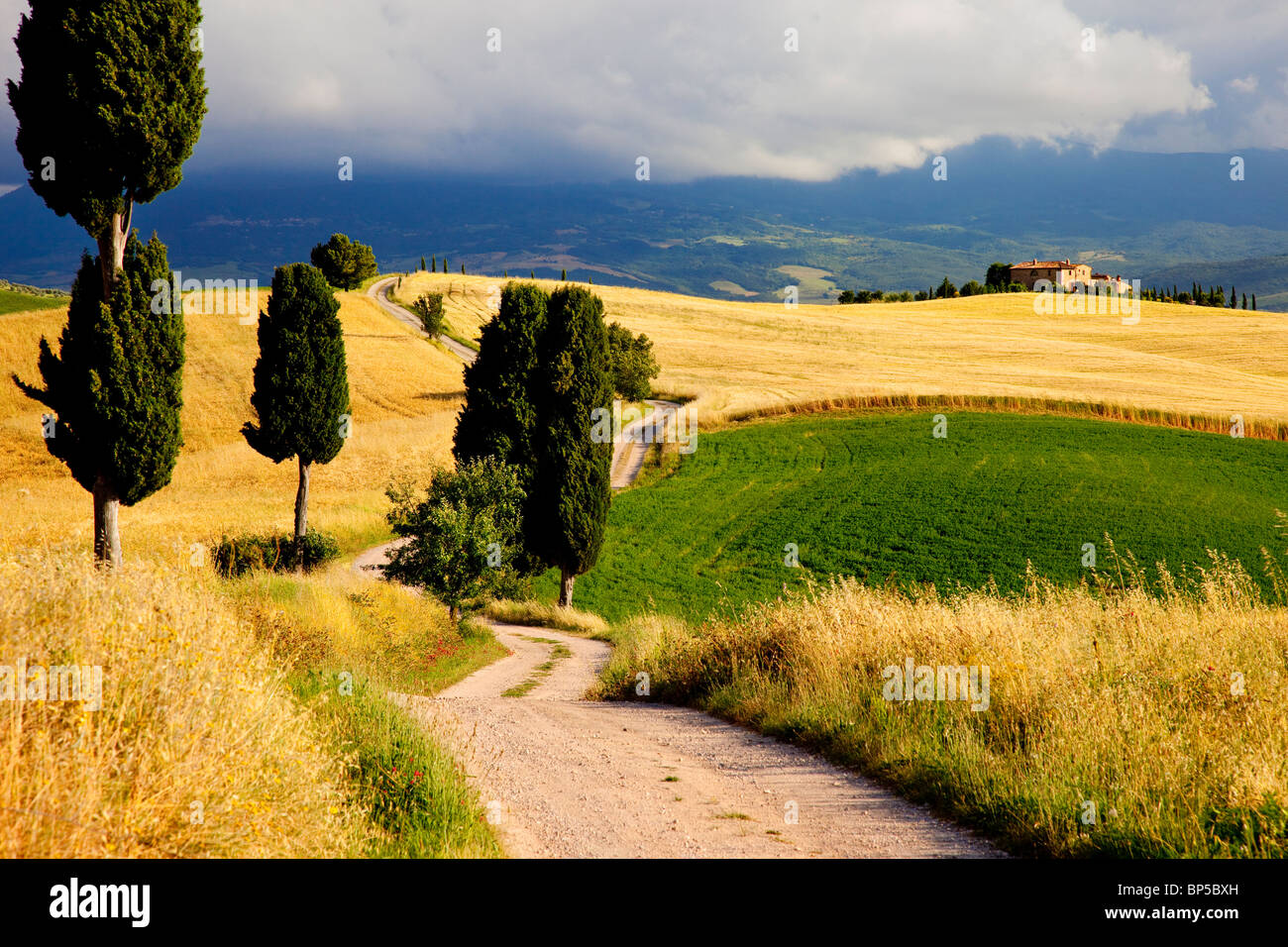 Chemin de campagne menant à la villa près de Pienza Toscane Italie Banque D'Images