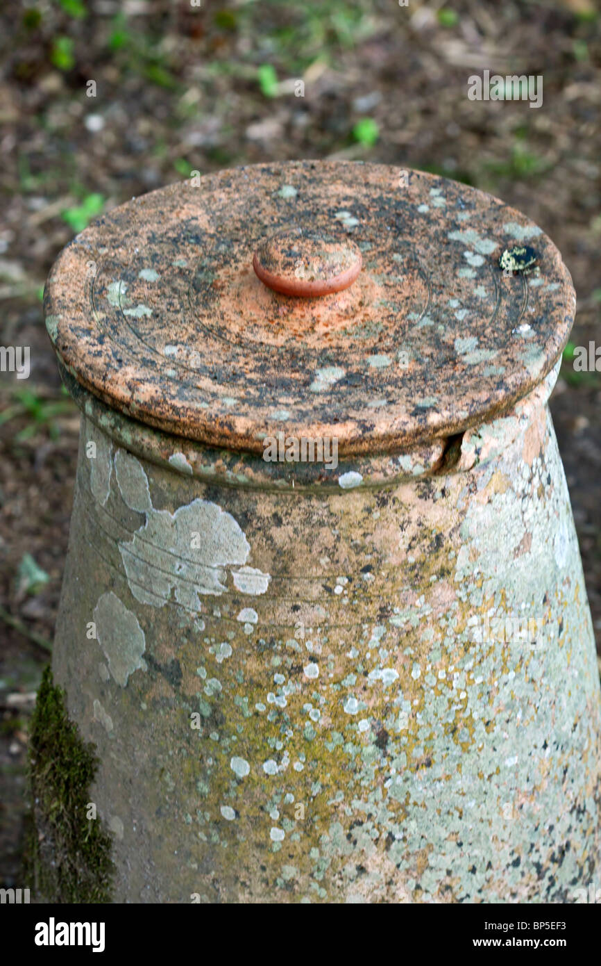 Un pot de rhubarbe. Couverts de lichen avec couvercle en terre cuite. Banque D'Images