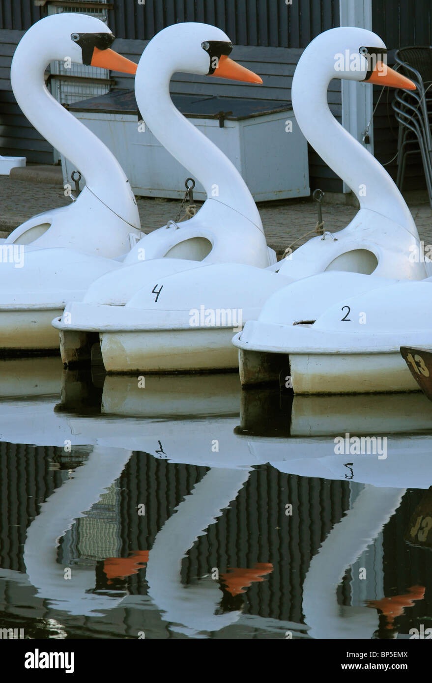 Le Danemark, Fionie, Odense, swan boats sur la rivière, Banque D'Images